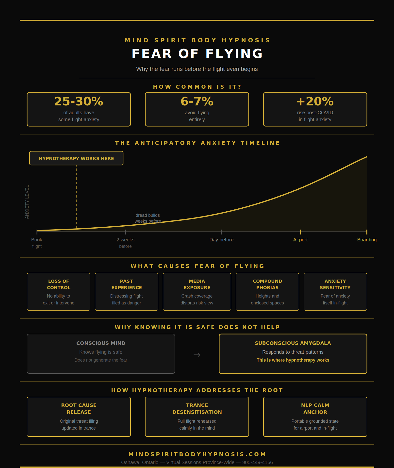 infographic for the fear of flying