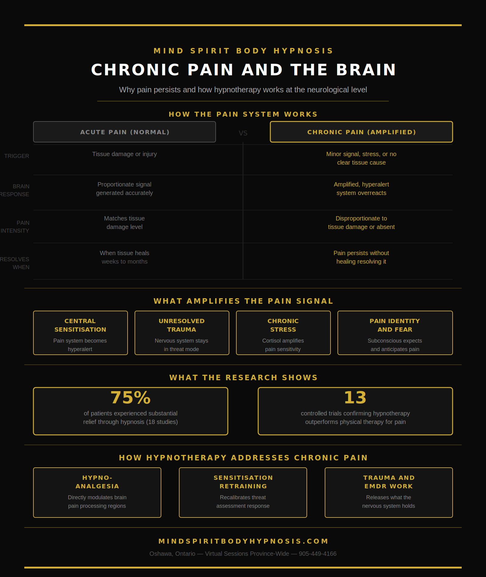 Infographic about how the pain system works