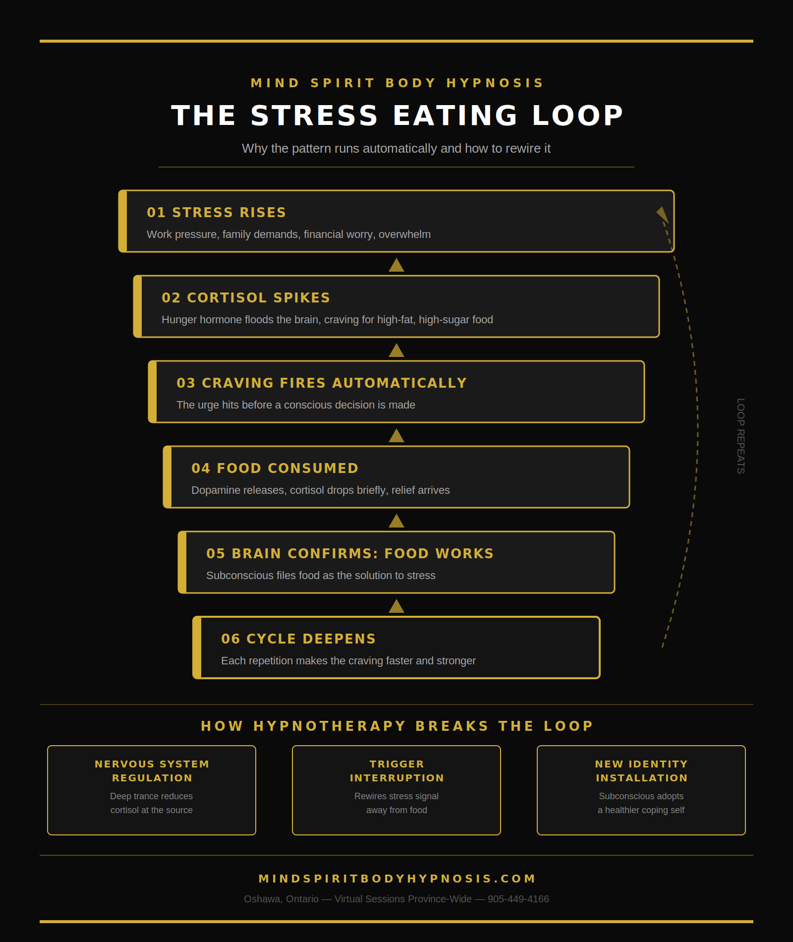 infographic indicating the stress eating loop