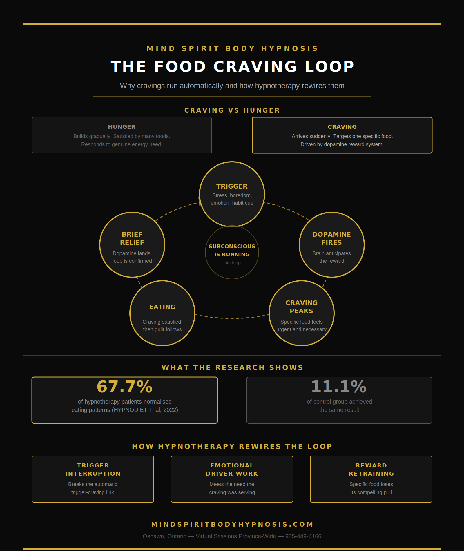 infographic describing the food craving loop