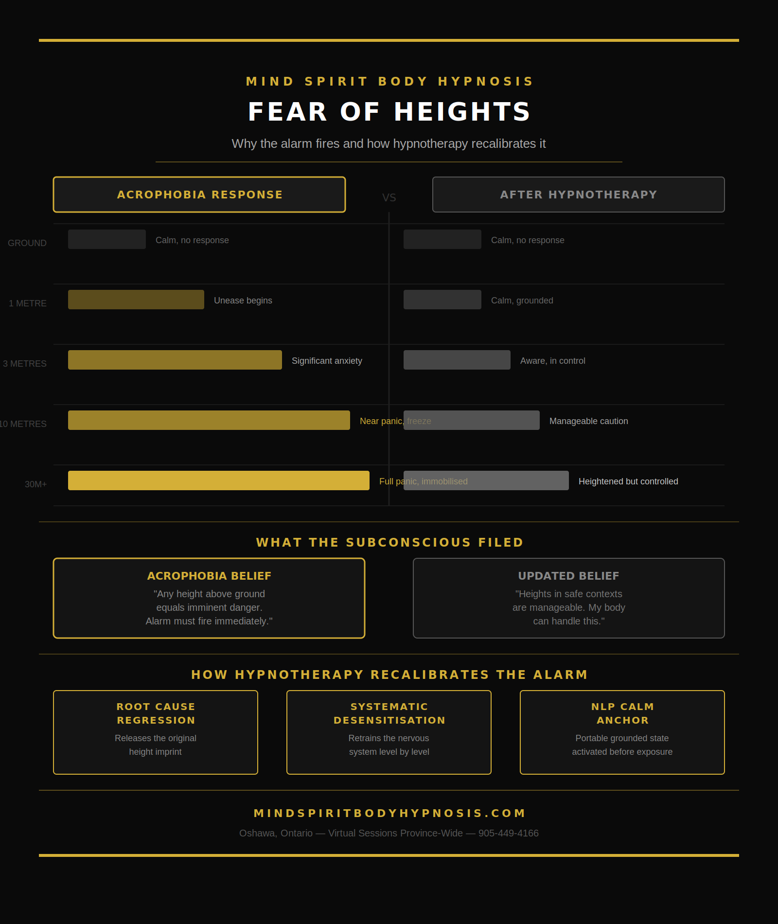 Infographic for the fear of heights