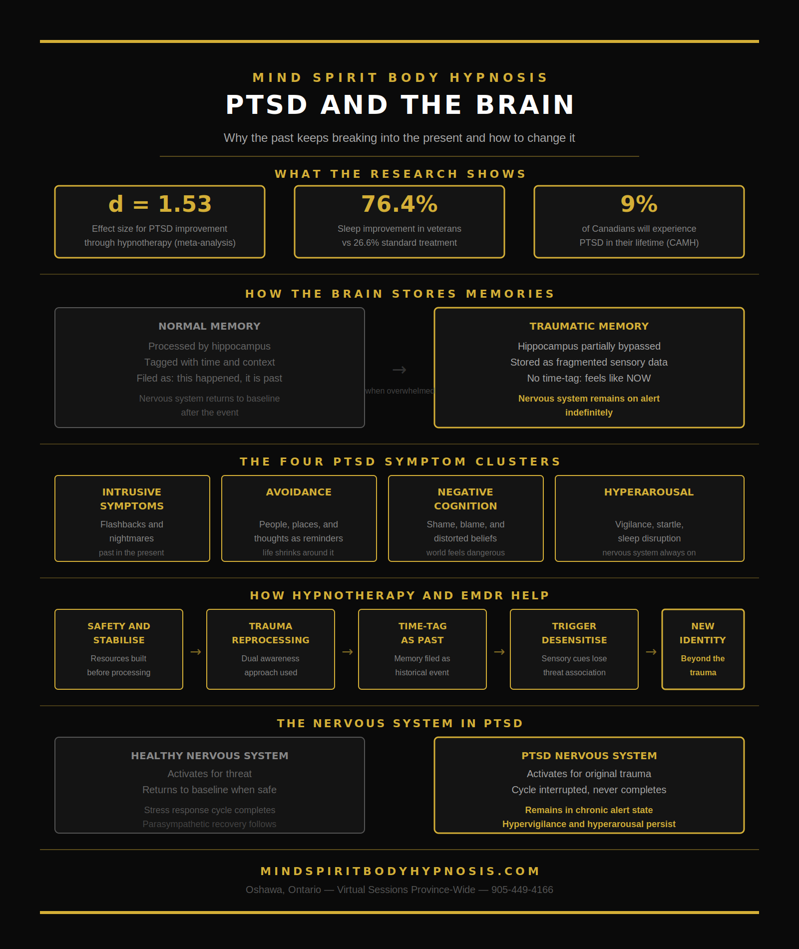 Infographic ptsd and the mind