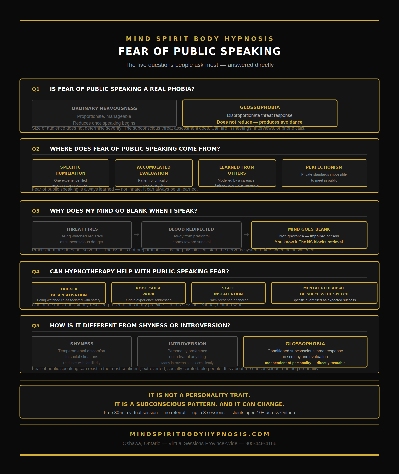 Infographic public speaking fear Ontario