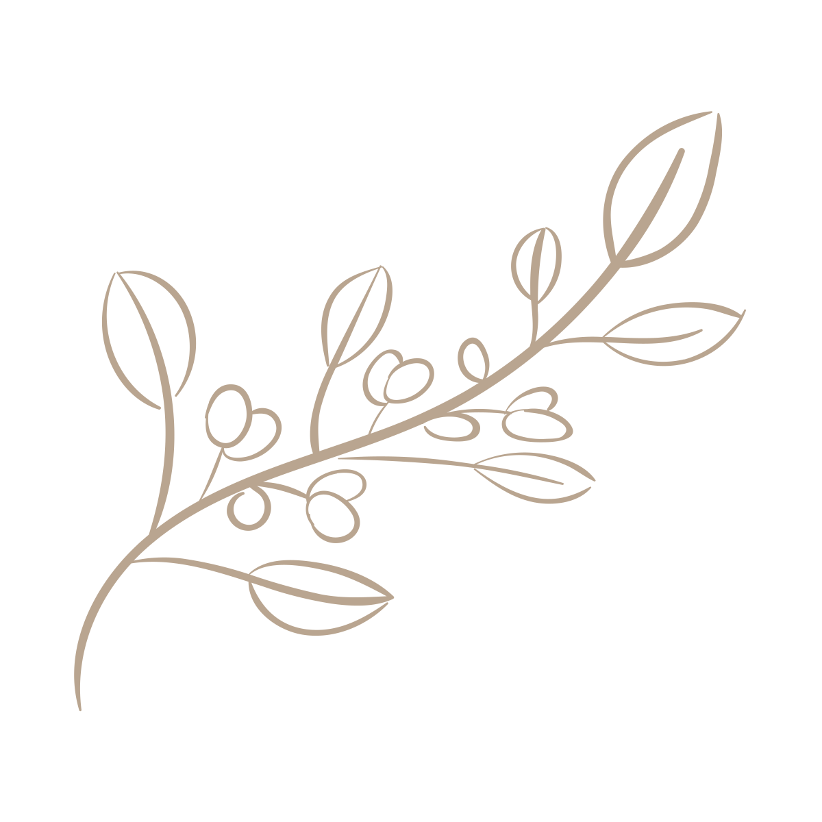 A minimalist outline drawing of a botanical branch with leaves and berries in taupe color on a black background.
