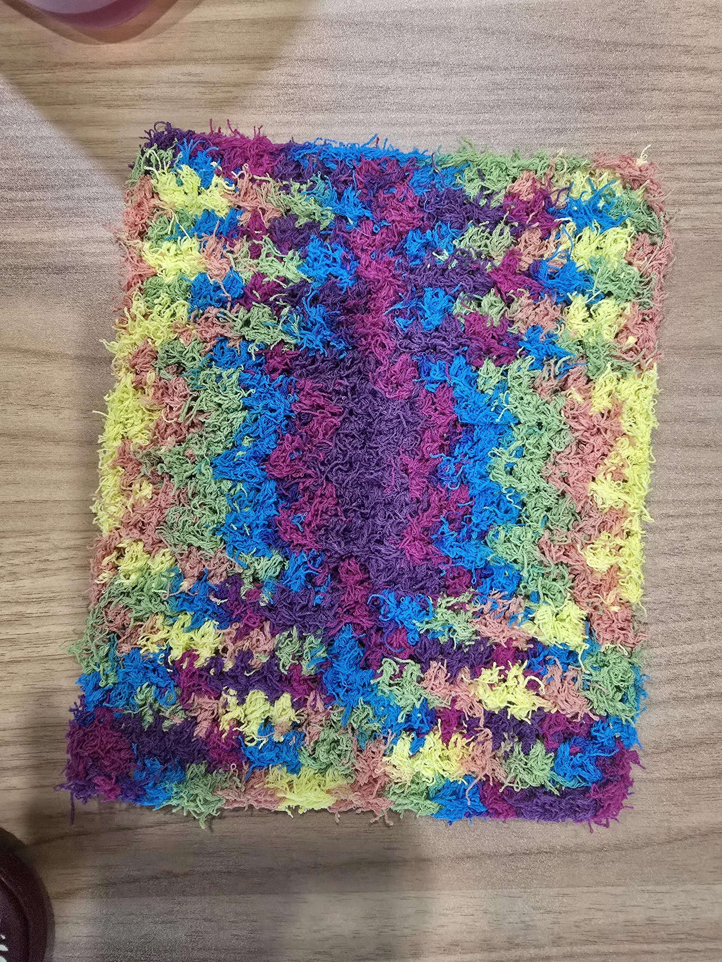 Dish Cloth