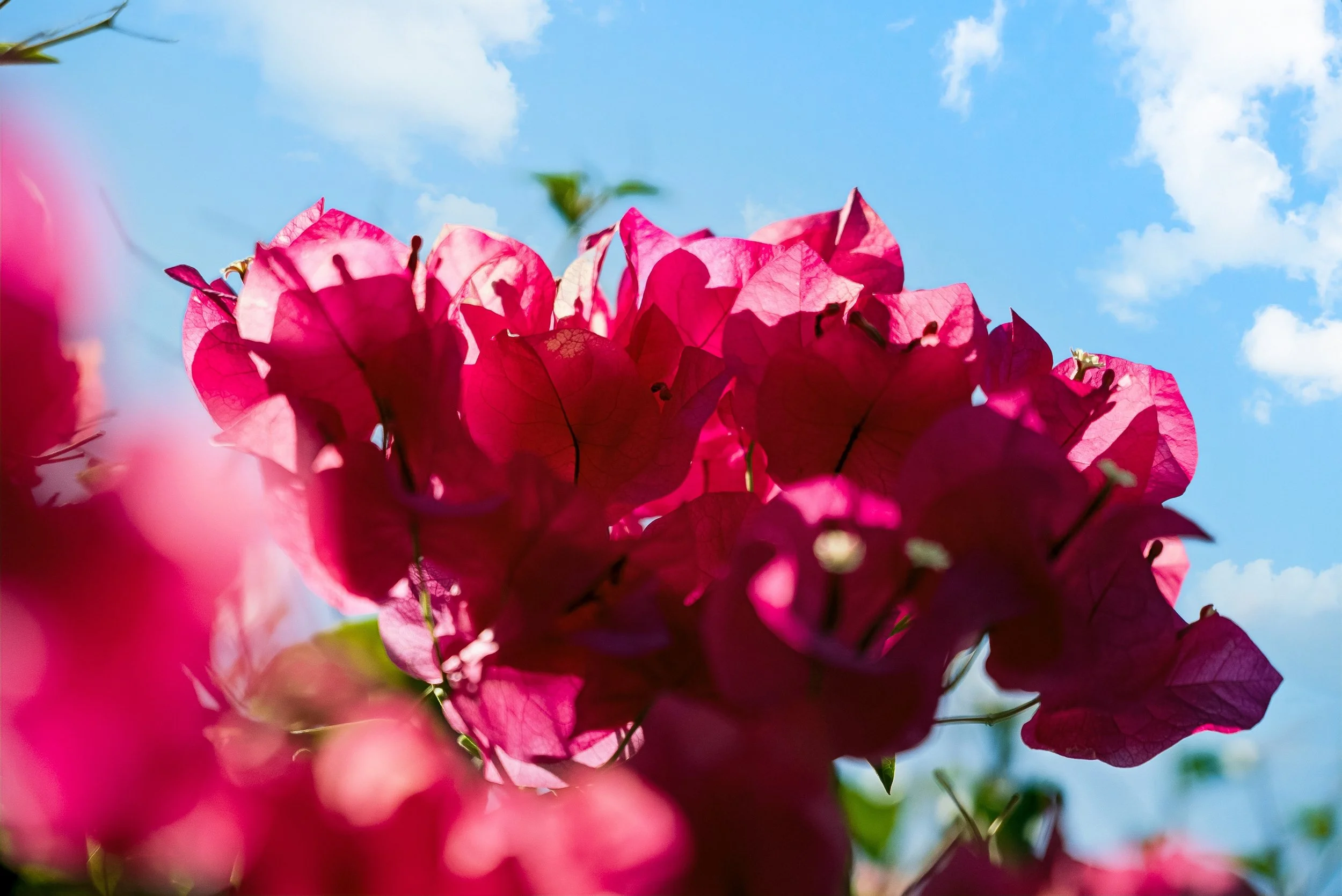 50-DSC09110.jpg