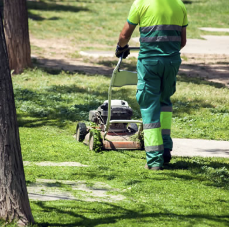 Une personne en vêtements de travail tond la pelouse dans un parc ou un espace vert en utilisant une tondeuse à gazon.