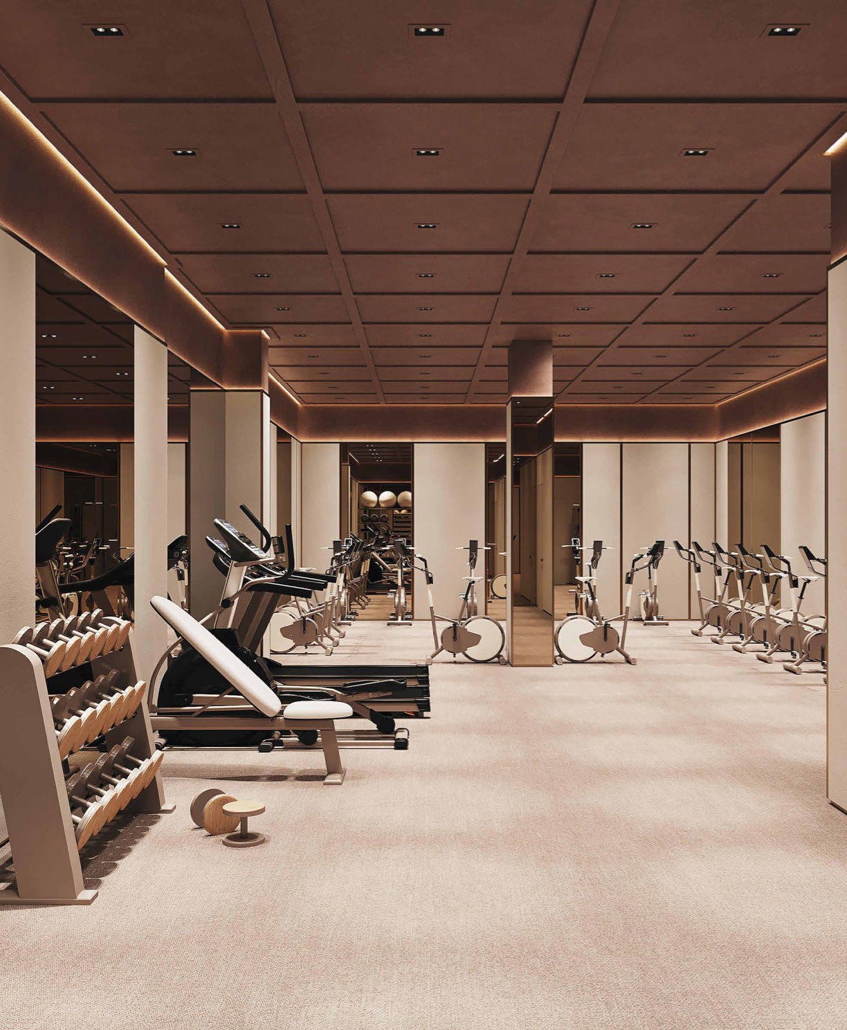 Modern gym at Jamaica Central with cardio machines, exercise bikes, and free weights, featuring warm lighting and mirrored walls.