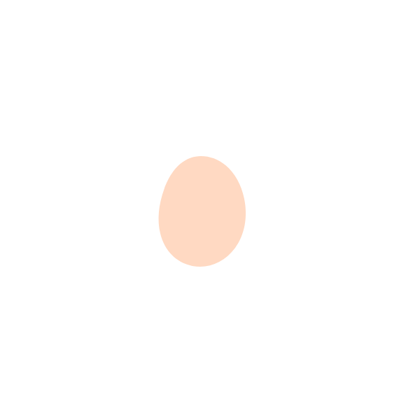 Simple illustration of a white flower with five petals and a peach-colored center on a black background.