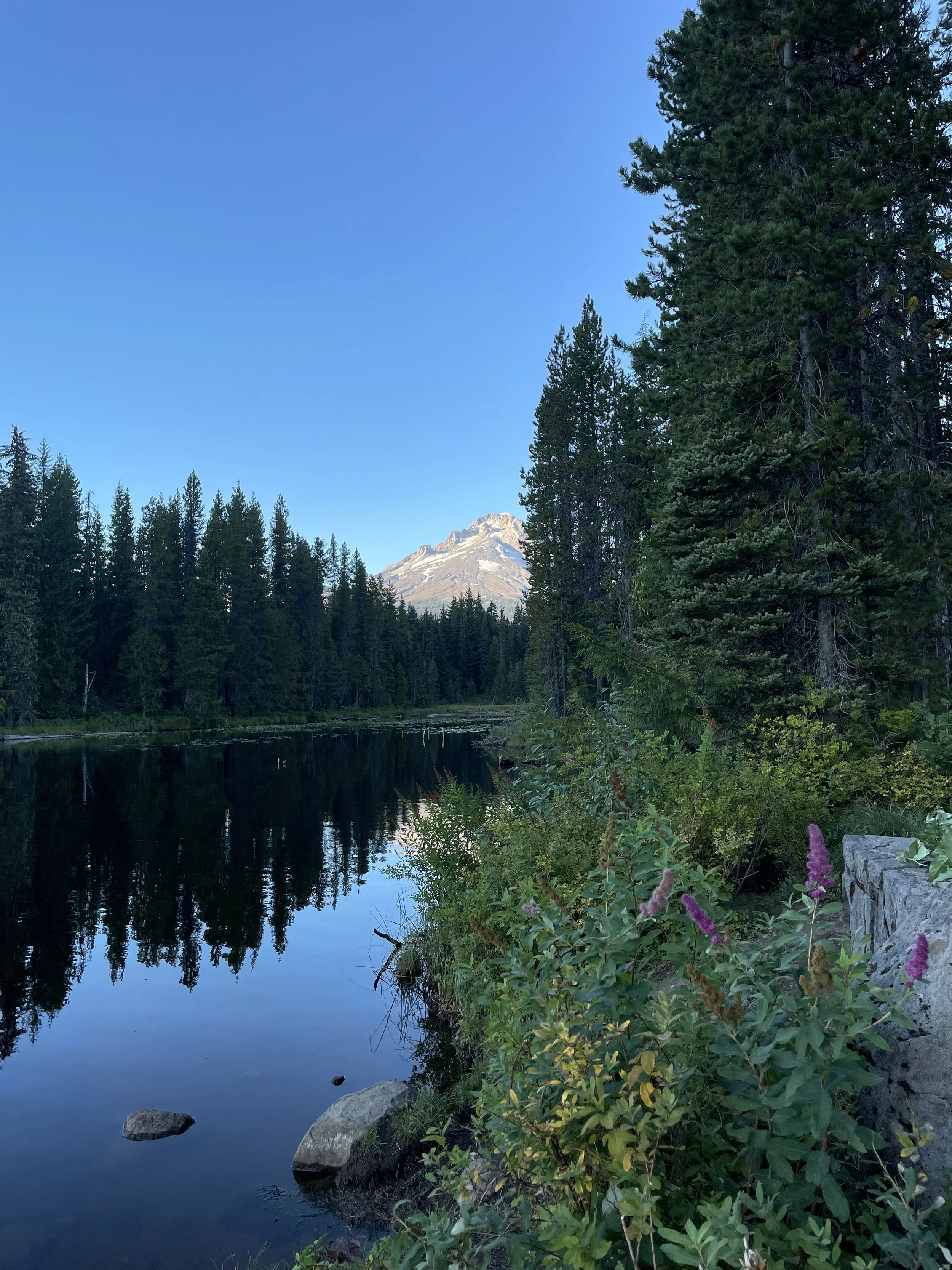 My Journey of Awakening: From Peak Experience to Integration