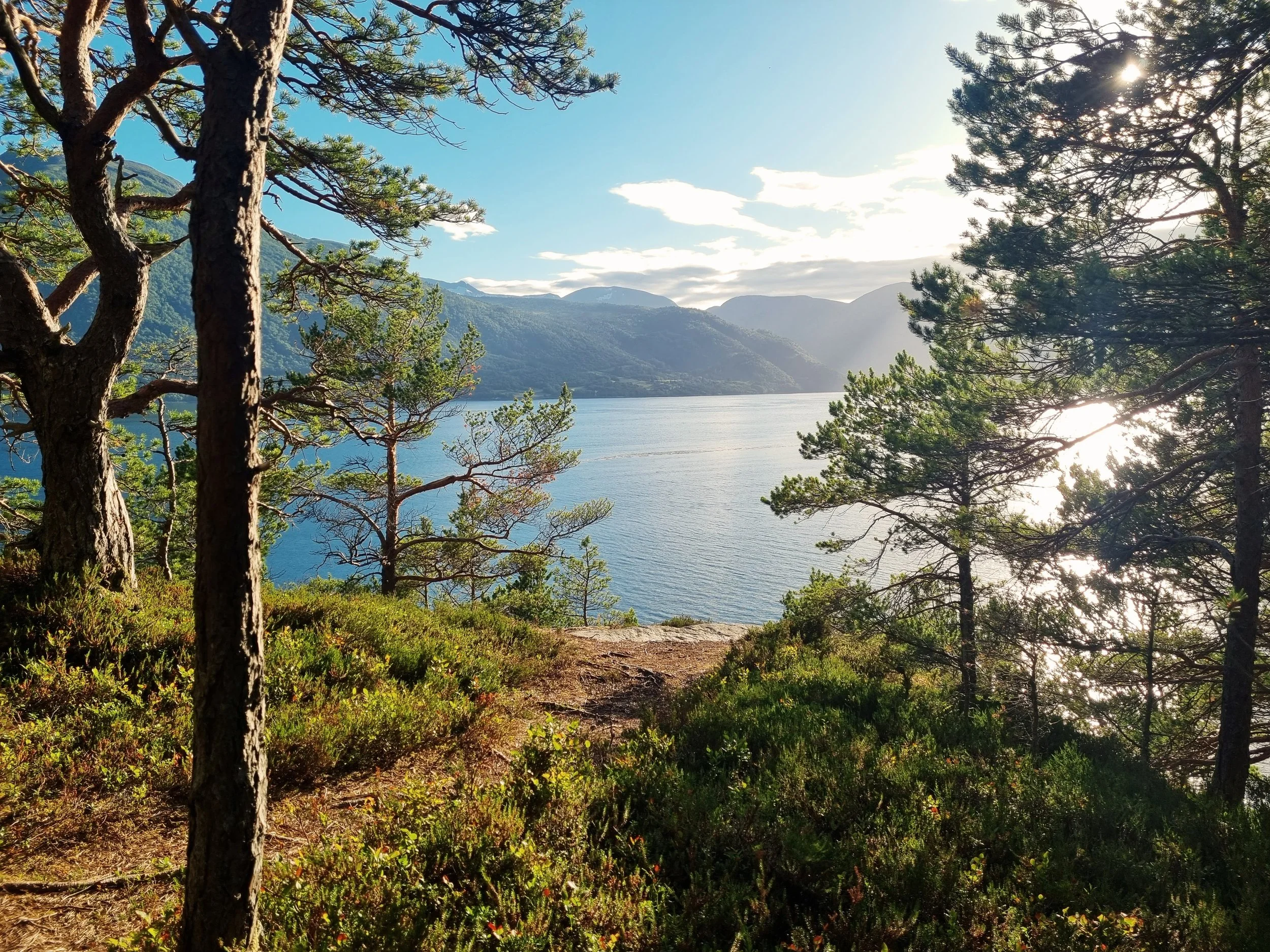 Hiking in Sunndalsøra trough Viking territory