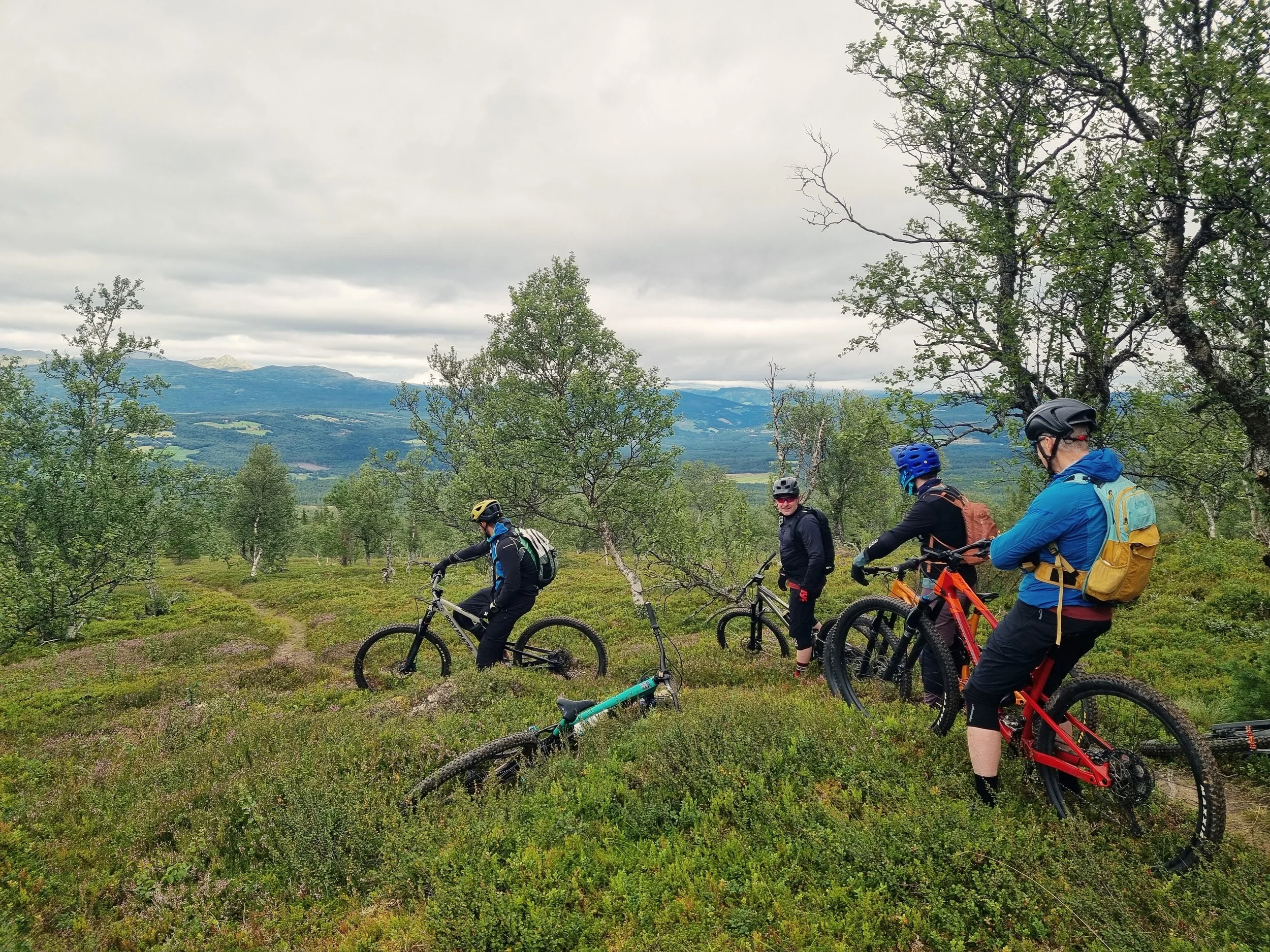 MTB-guiding in Oppdal