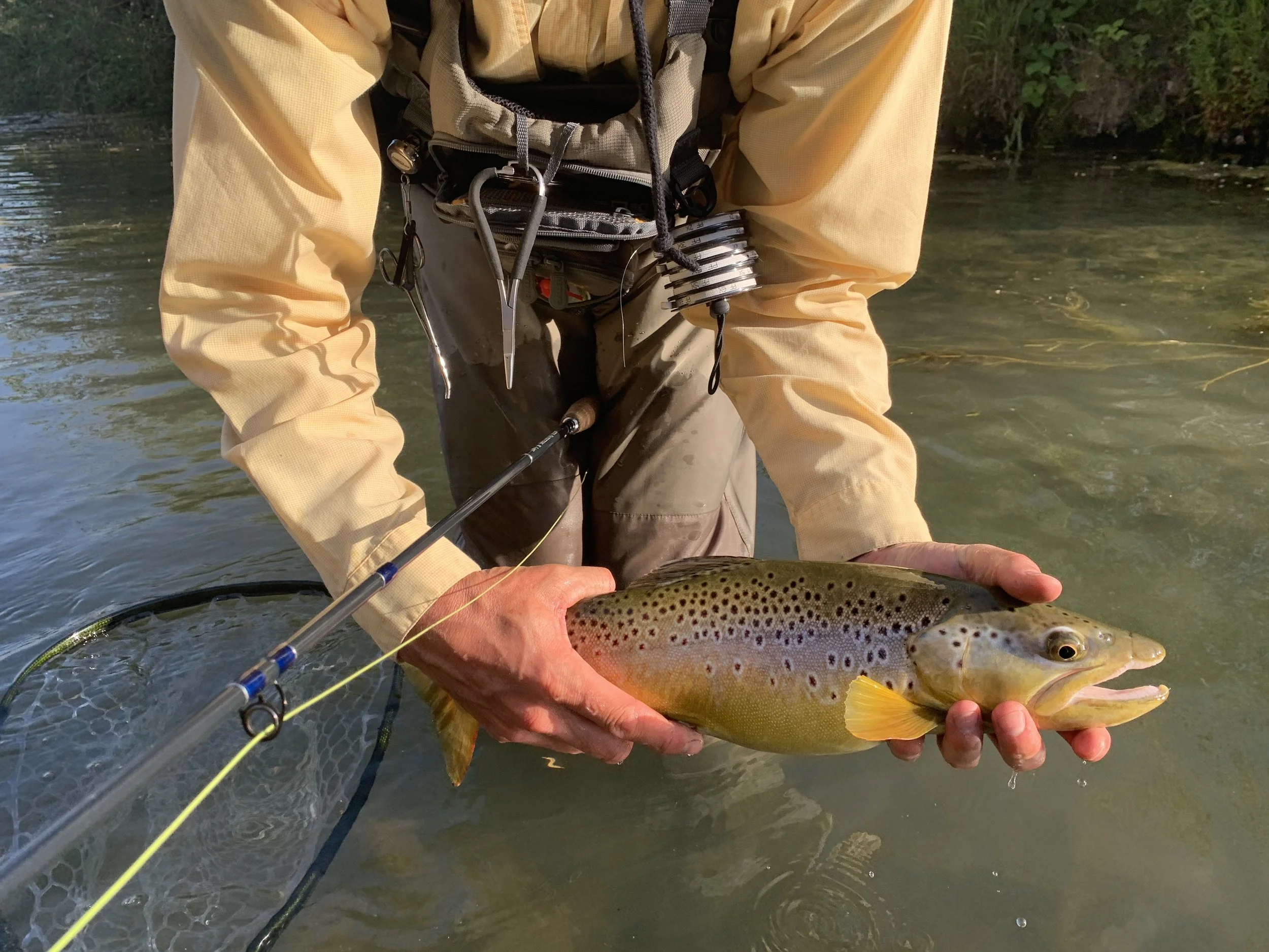 OWYHEE RIVER