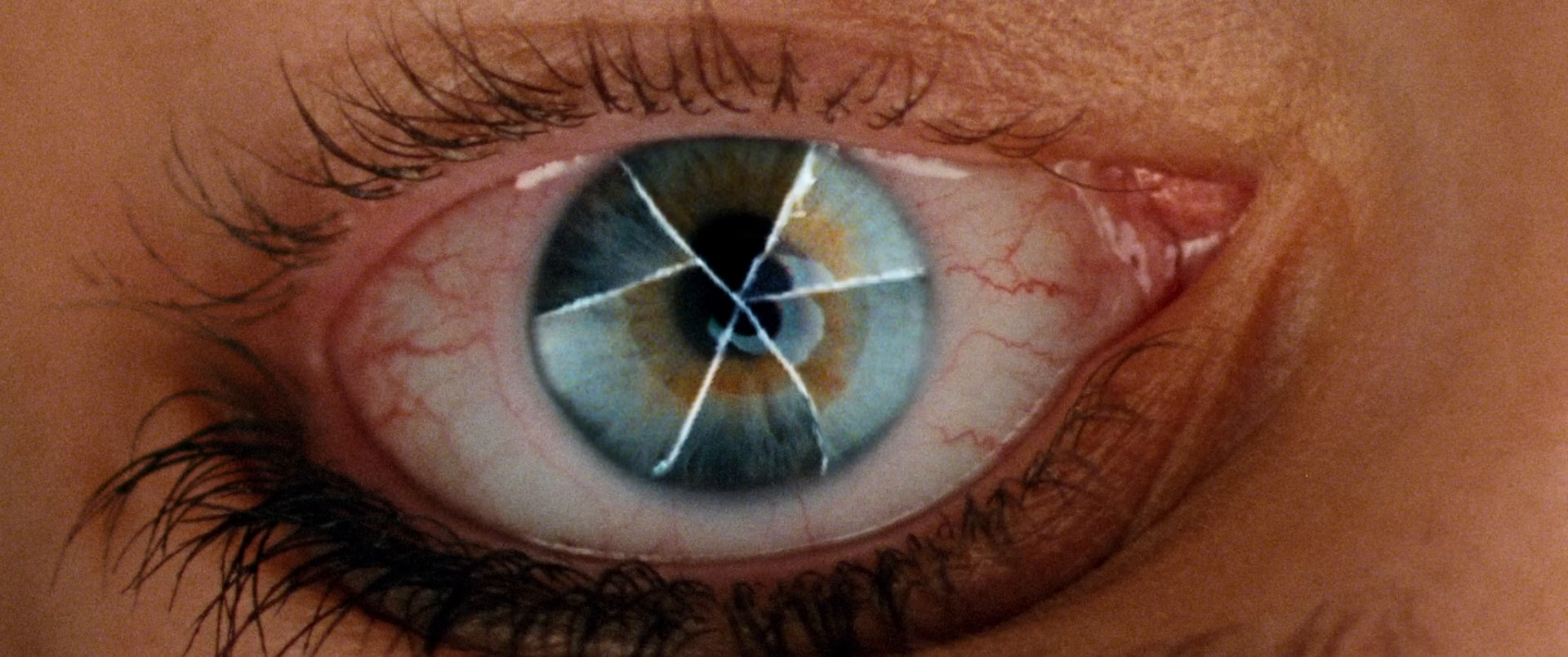Reflection in a Dead Diamond - 2025 (21).png
