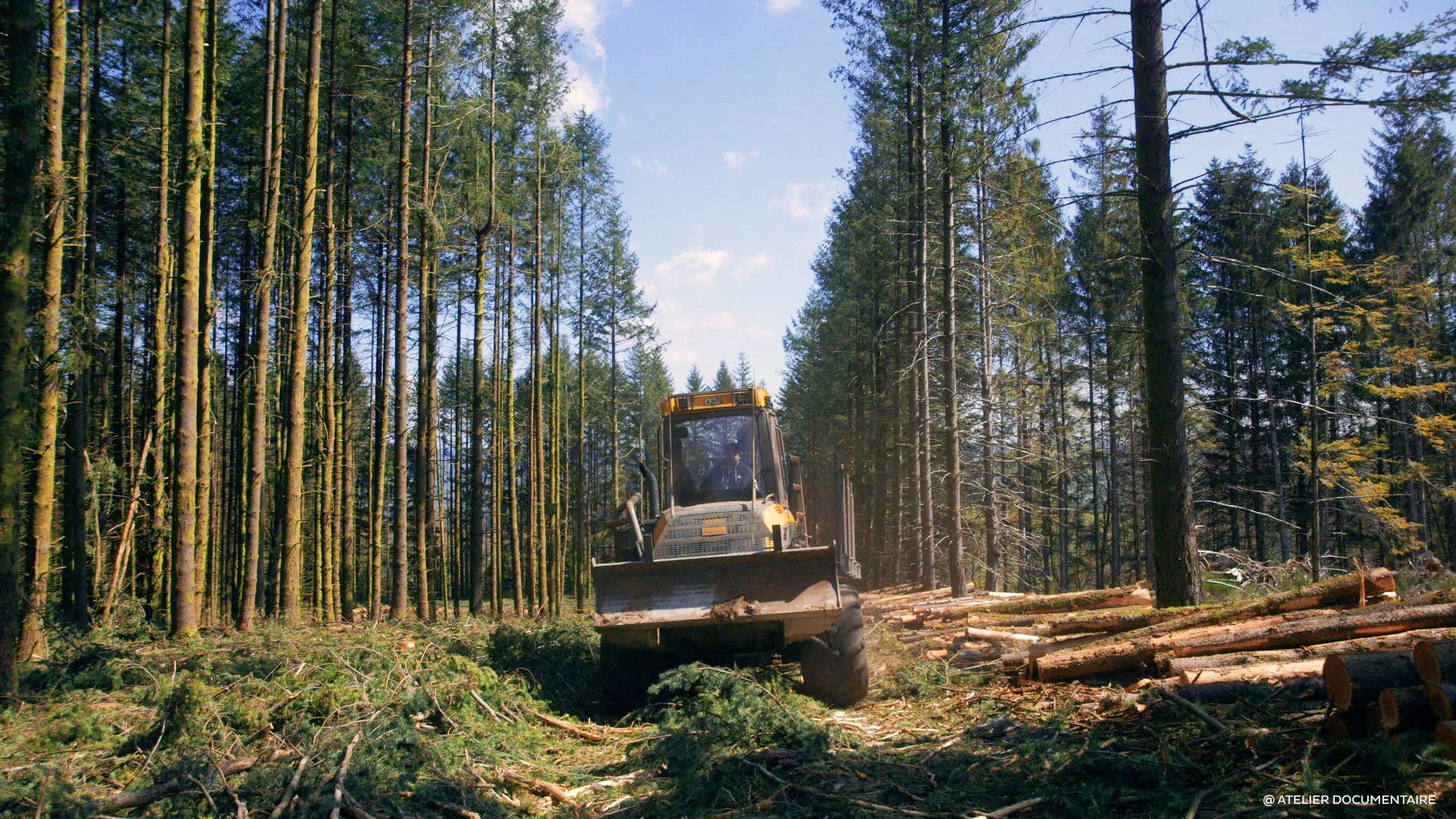 Le temps des forêts_5.jpg