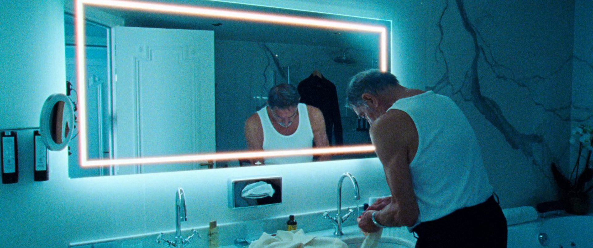Reflection in a Dead Diamond - 2025 (6).png