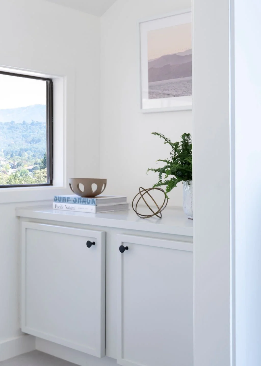 White cabinet with black knobs, a potted fern, a decorative wire sphere, a stack of books, a bowl, and a framed landscape photograph on a white wall.