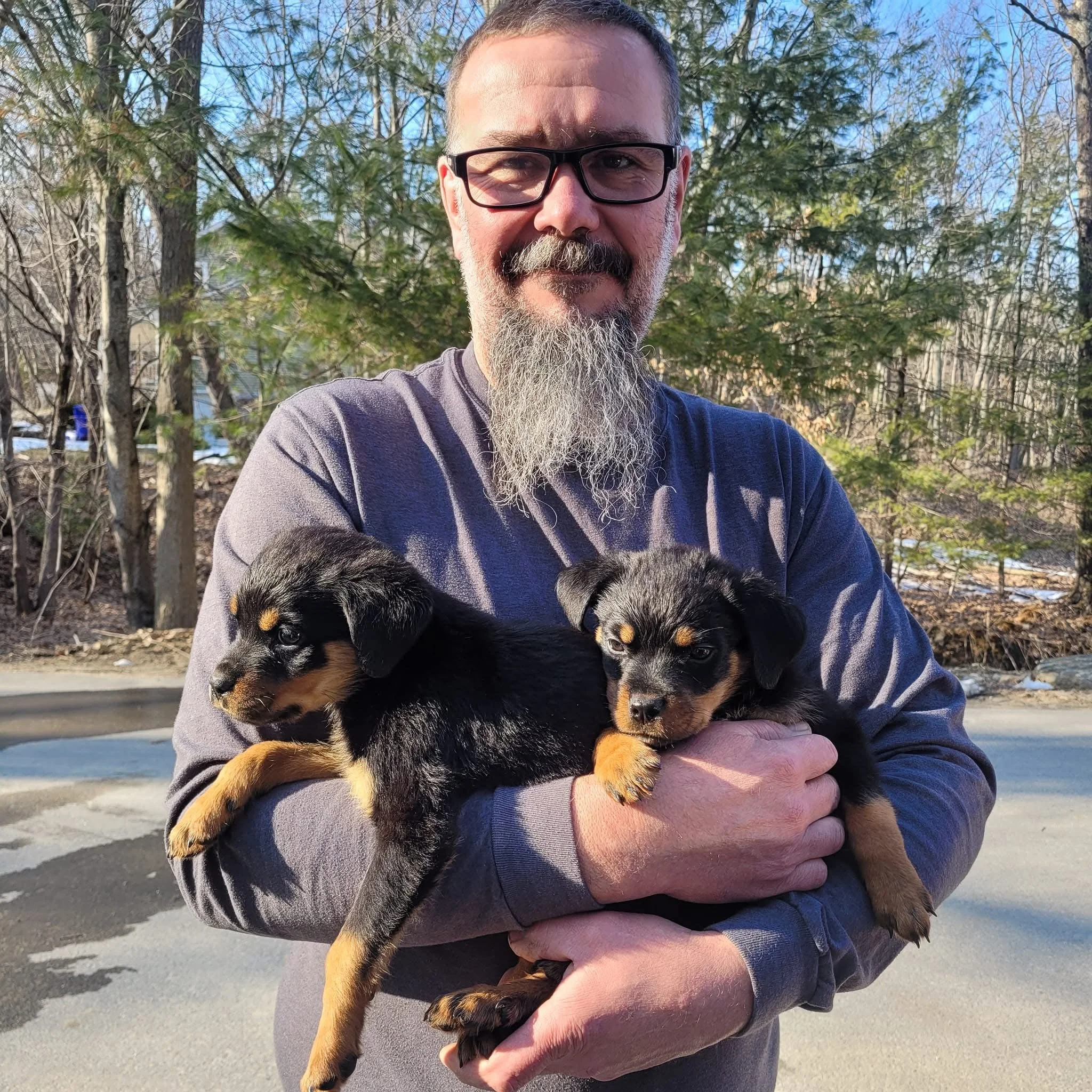 A man with glasses and a gray beard holding two black and tan puppies outdoors on a sunny day, with trees and a driveway in the background.