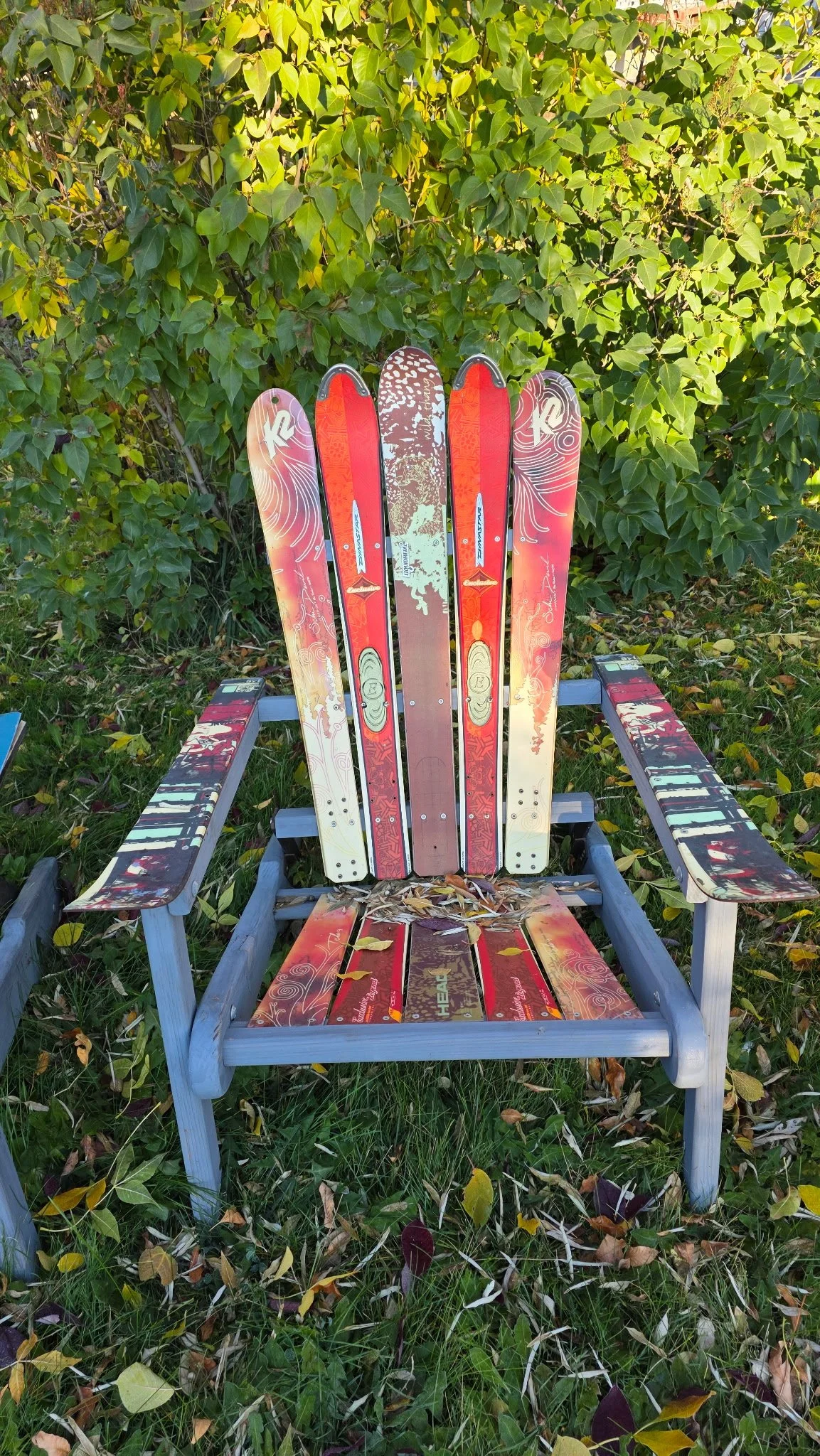 Outdoor chair decorated with colorful skis leaning against a lush green leafy background, some fallen leaves on the ground and on the seat of the chair.