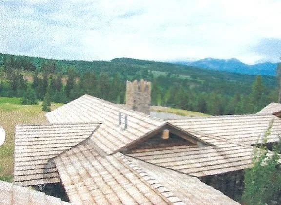 View of rooftops with tiled roofs and a chimney, surrounded by a forested landscape and mountains in the background.