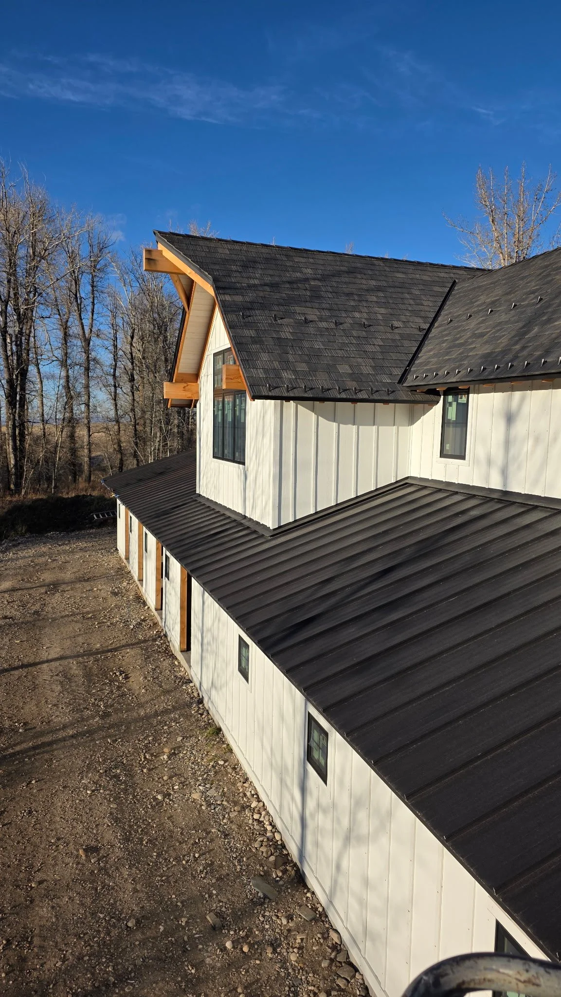 A modern house with a black metal roof and white wooden siding, set against a background of leafless trees and a blue sky.