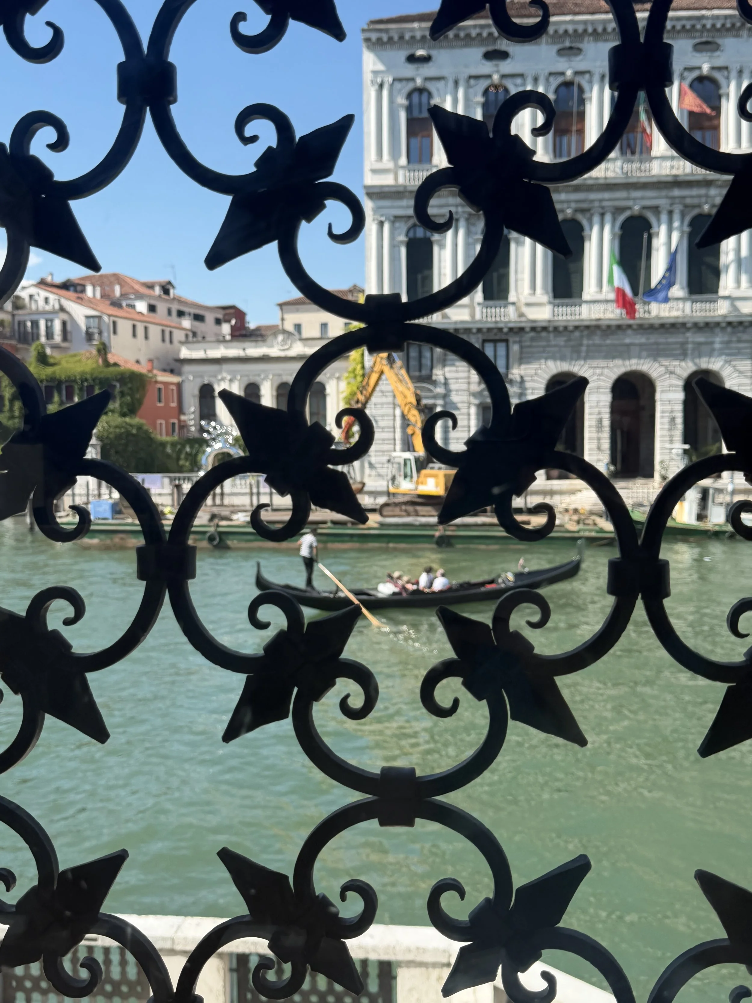 IMG_2326.jpeg