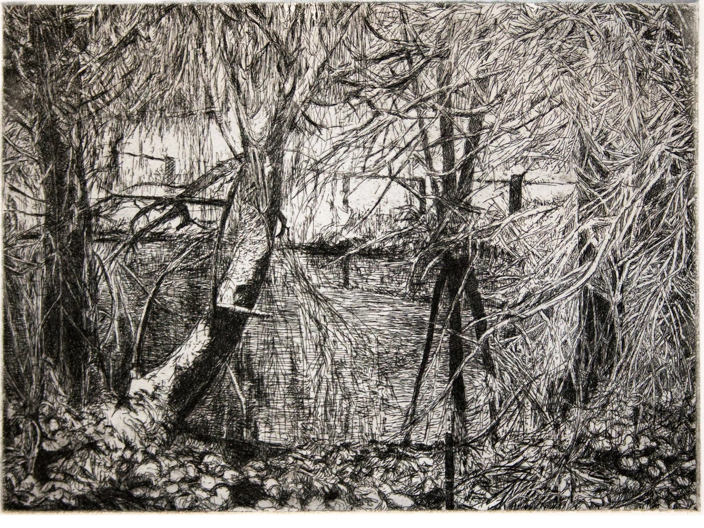 Pond in snow on Ellingsen, etching, 12 x 9 inch plate