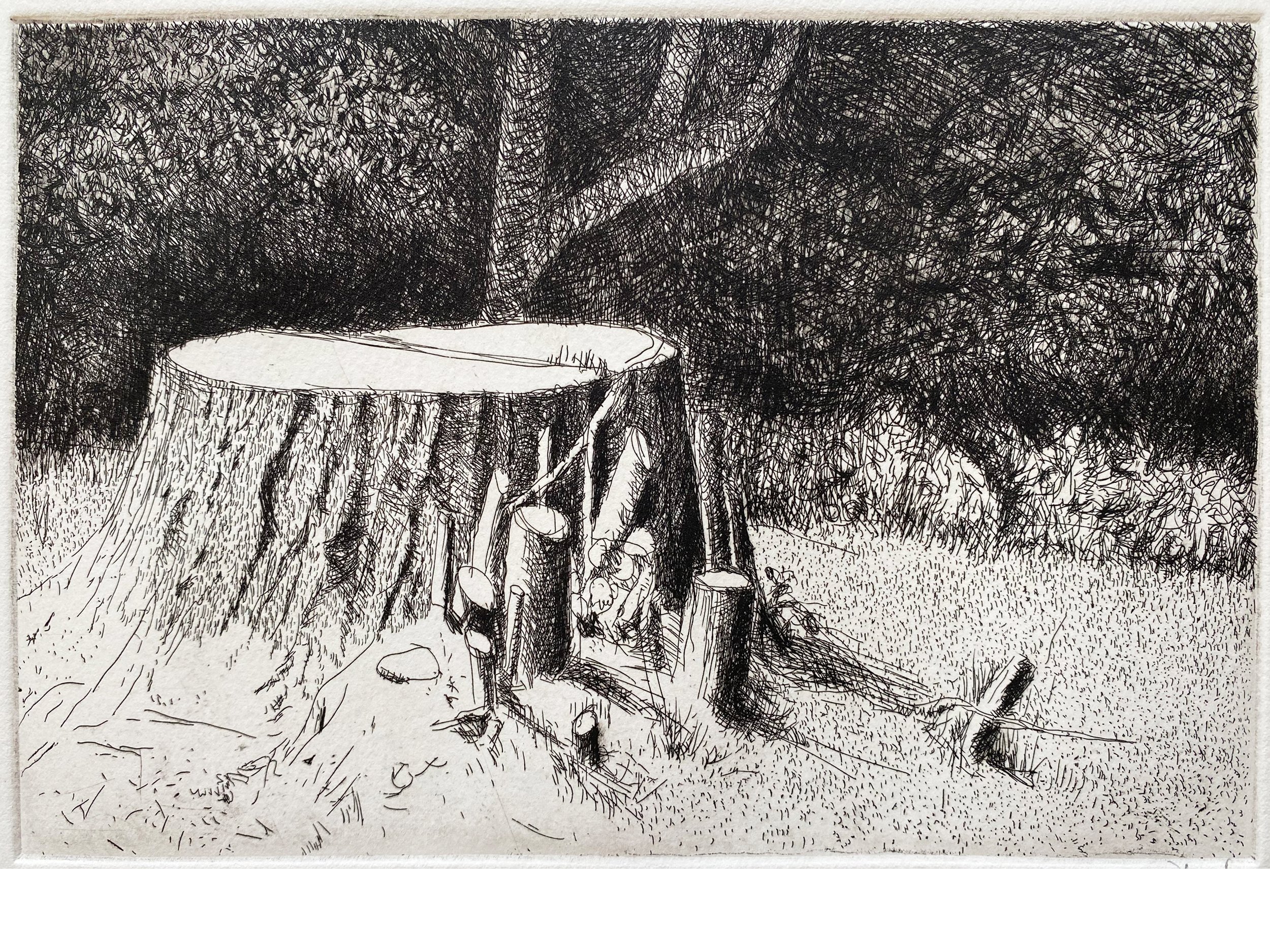 Ellingsen stump, etching, 8 x 6 inch plate