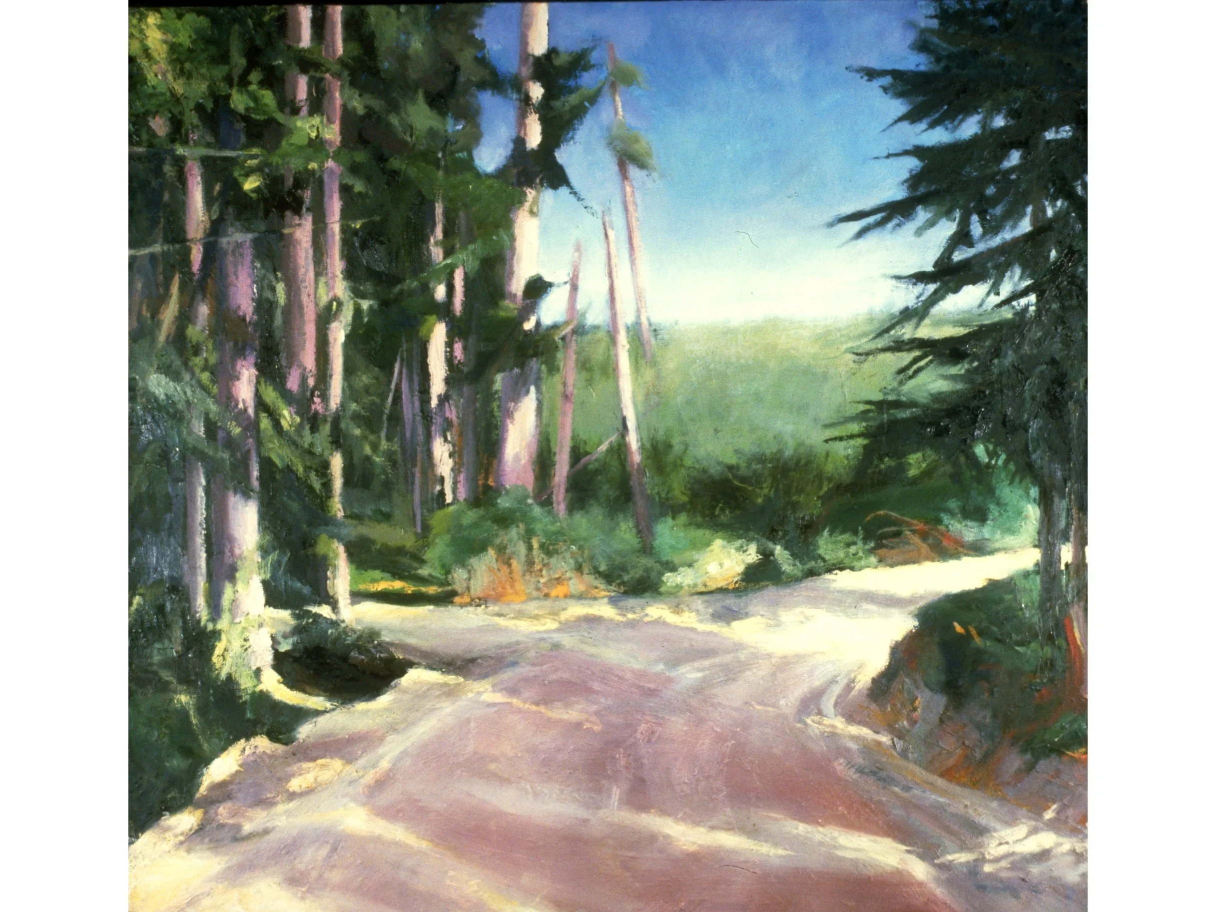 WIXTED new road, lost valley.jpg