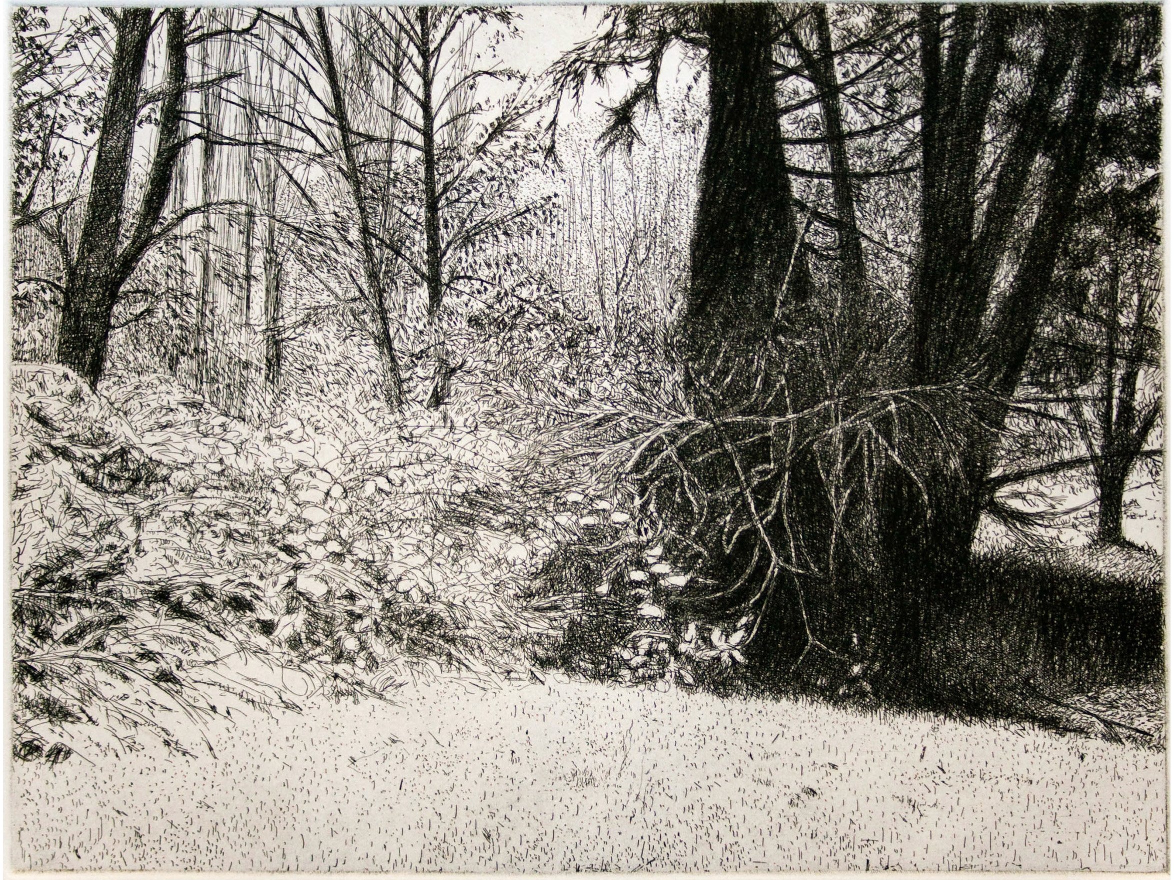 Snowy yard on Ellingsen, etching, 12 x 9 inch plate