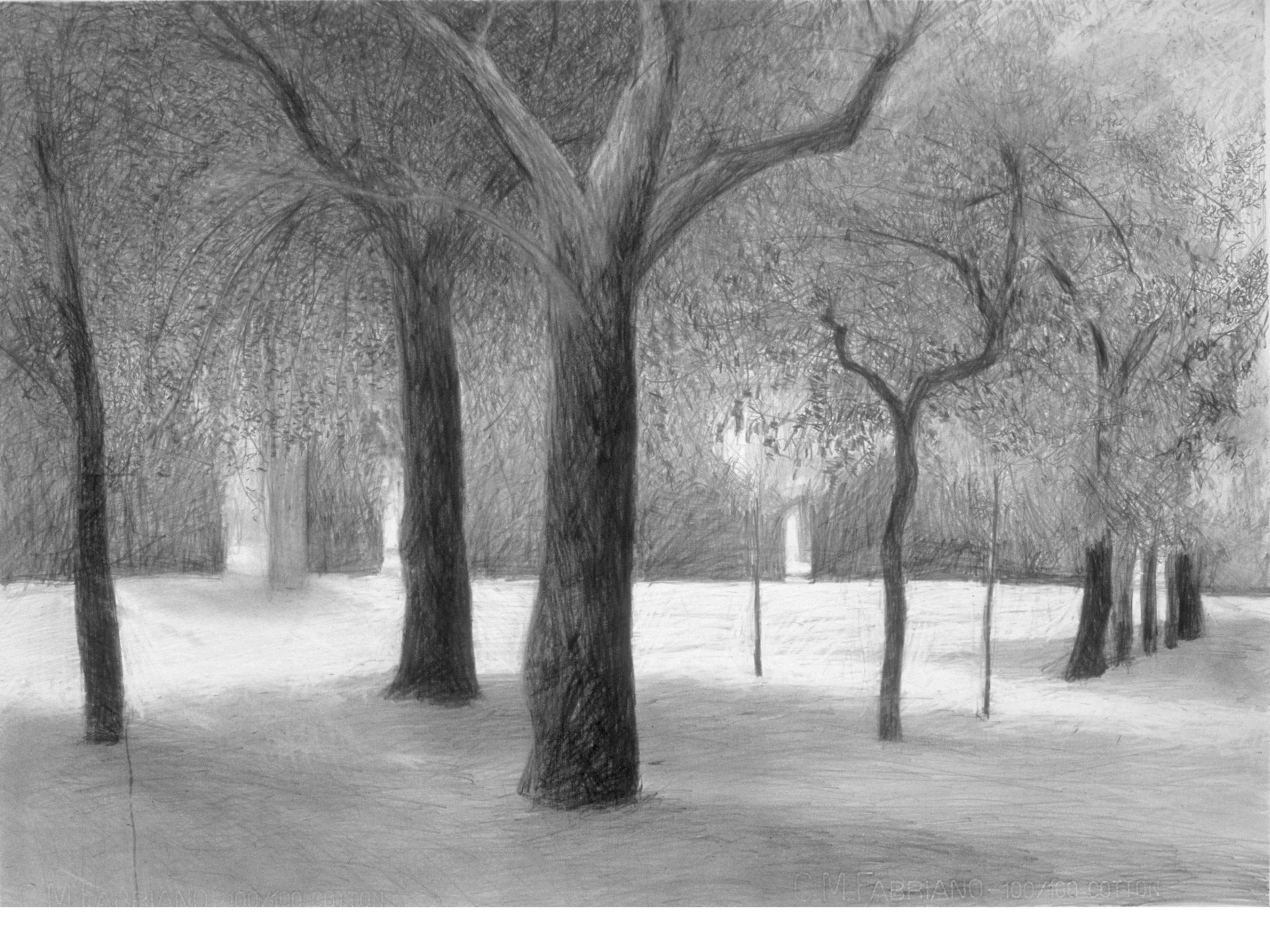 Boboli gardens, pencil on paper, 19 x 26 inches