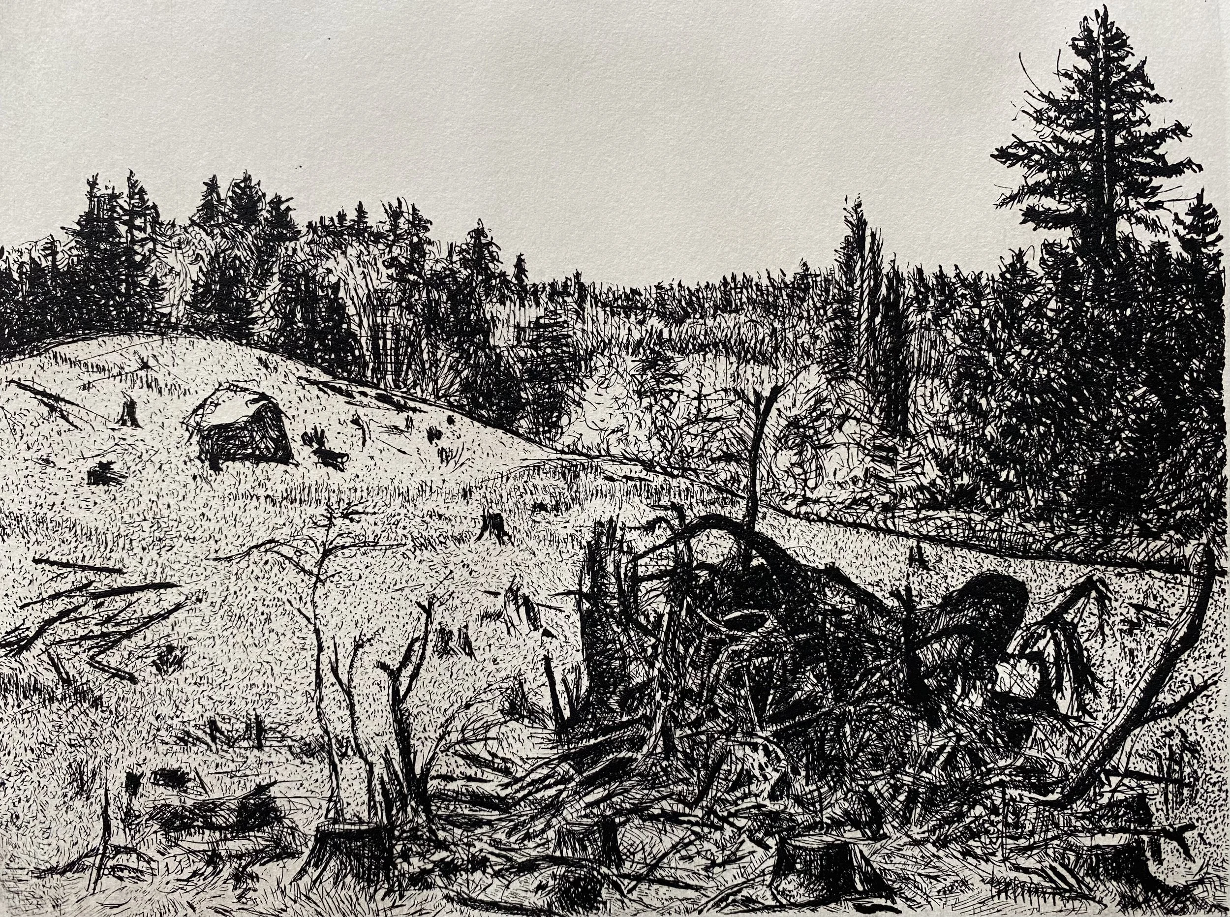 Stottie Clear Cut, Etching, 5 x 6 inch plate
