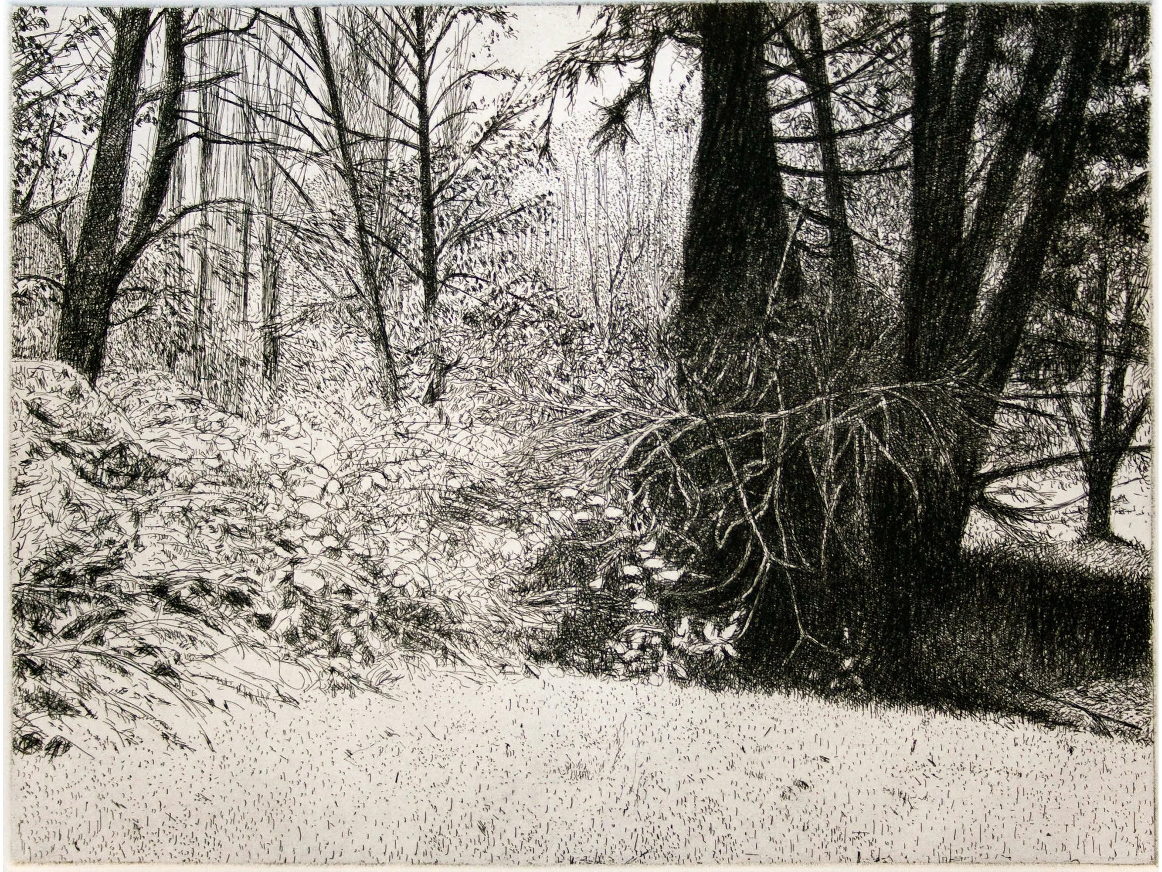 WIXTED trees in snowy yard.jpg