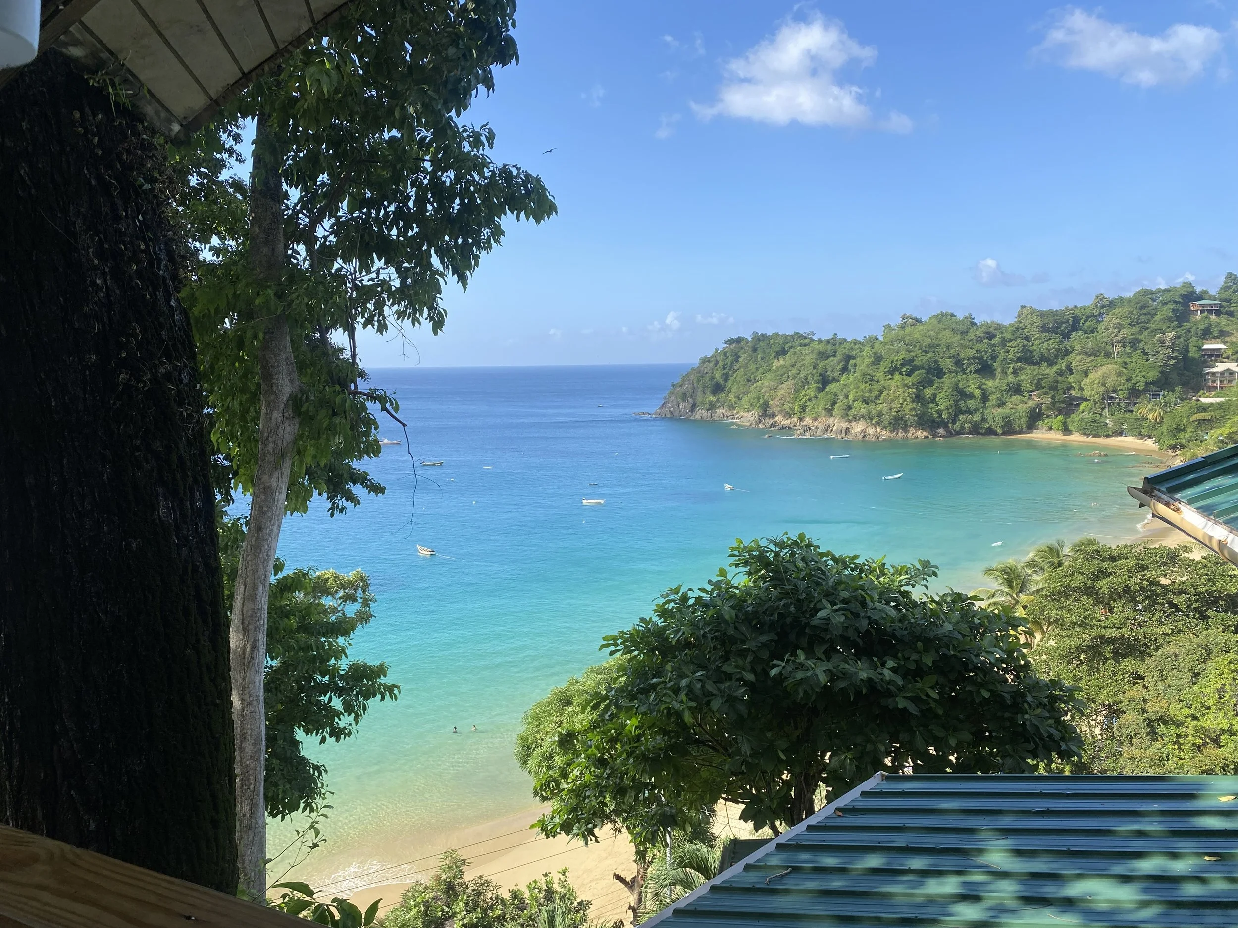 Tobago Cool Down
