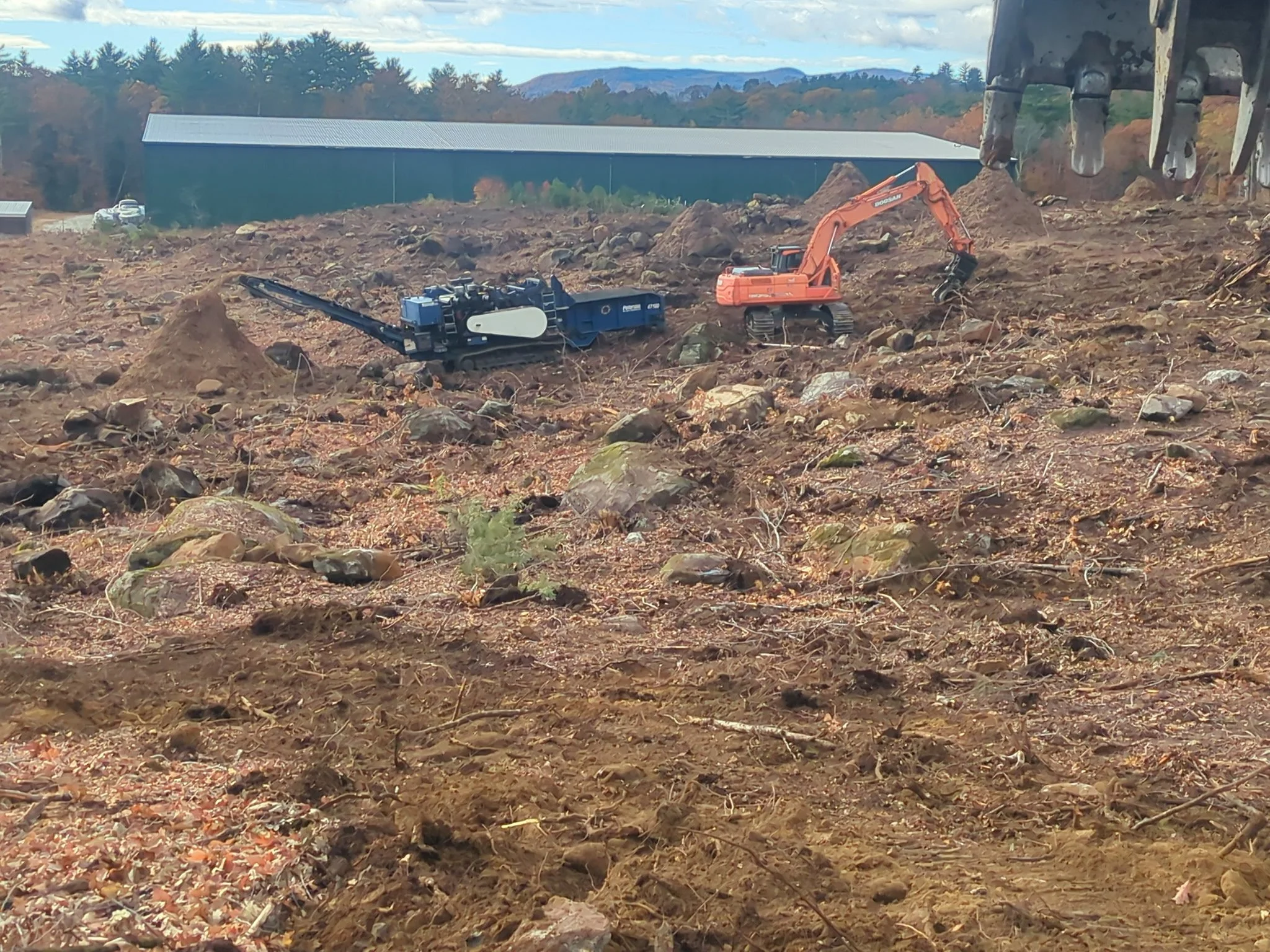 Large Stump Grinding Operations