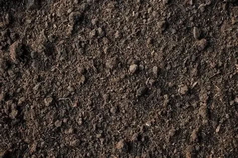 Screened Loam