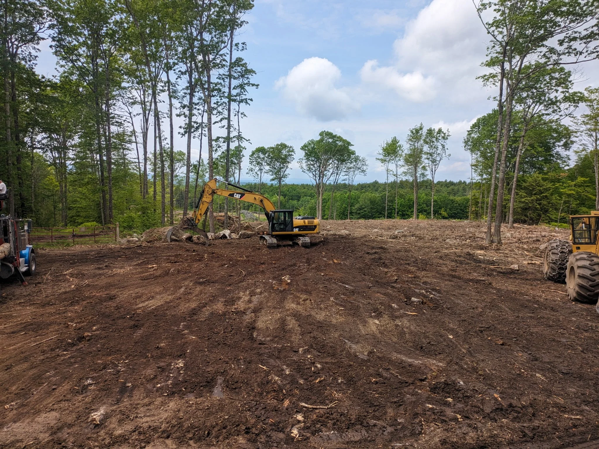 Medium/ Large Stump Removal Operations