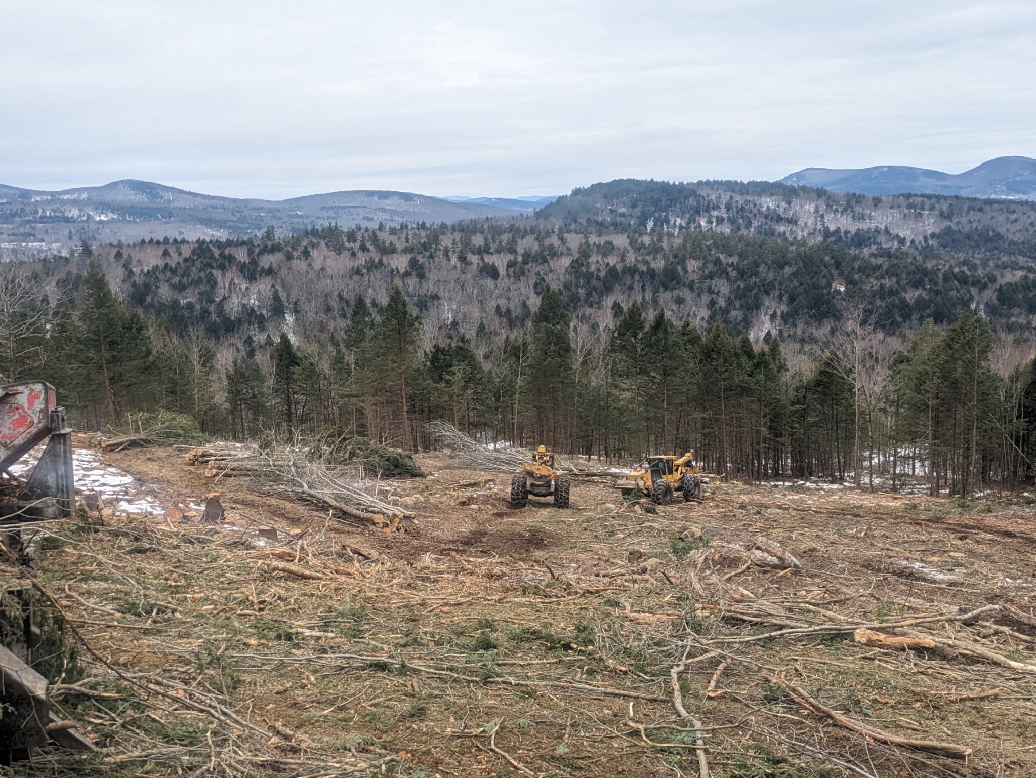 Logging