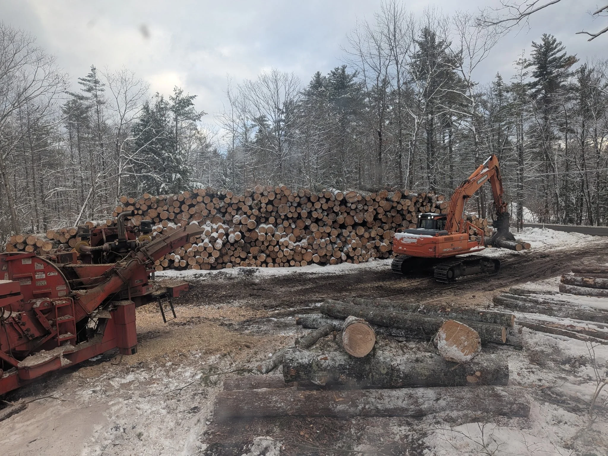 A pile of cut logs in a snowy forest with bare trees and a cloudy sky in the background, featuring construction equipment.