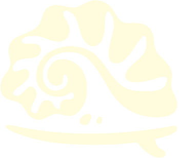 A black and white abstract patterned design resembling a stylized snail shell or spiral with surrounding decorative elements.