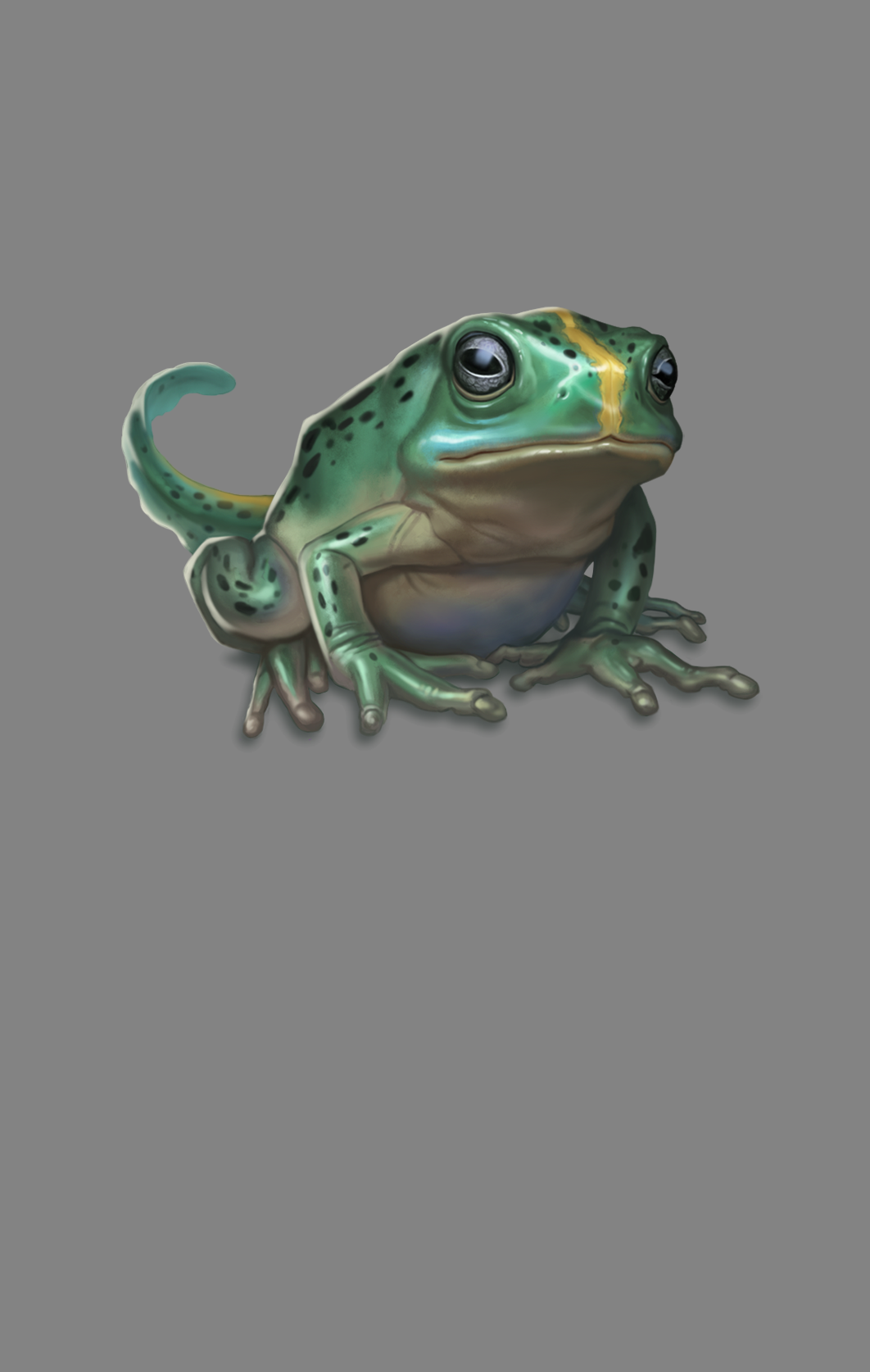 portrait_romance_other_other_familiar_frog-v01.png