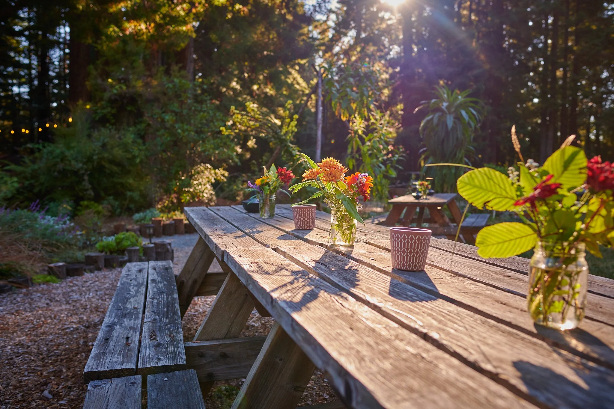 gallery - Gardens 2.jpg