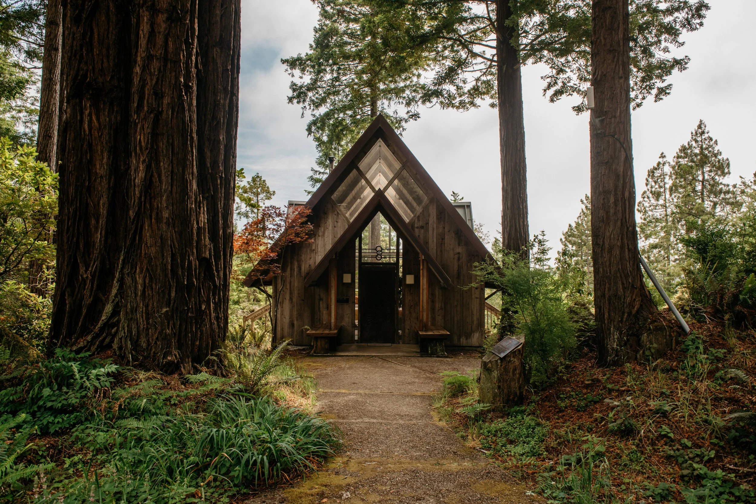 Gallery santcuary.jpg