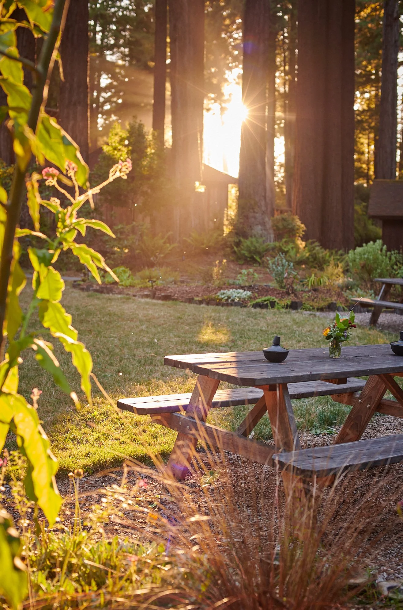 gallery Gardens 3.jpg