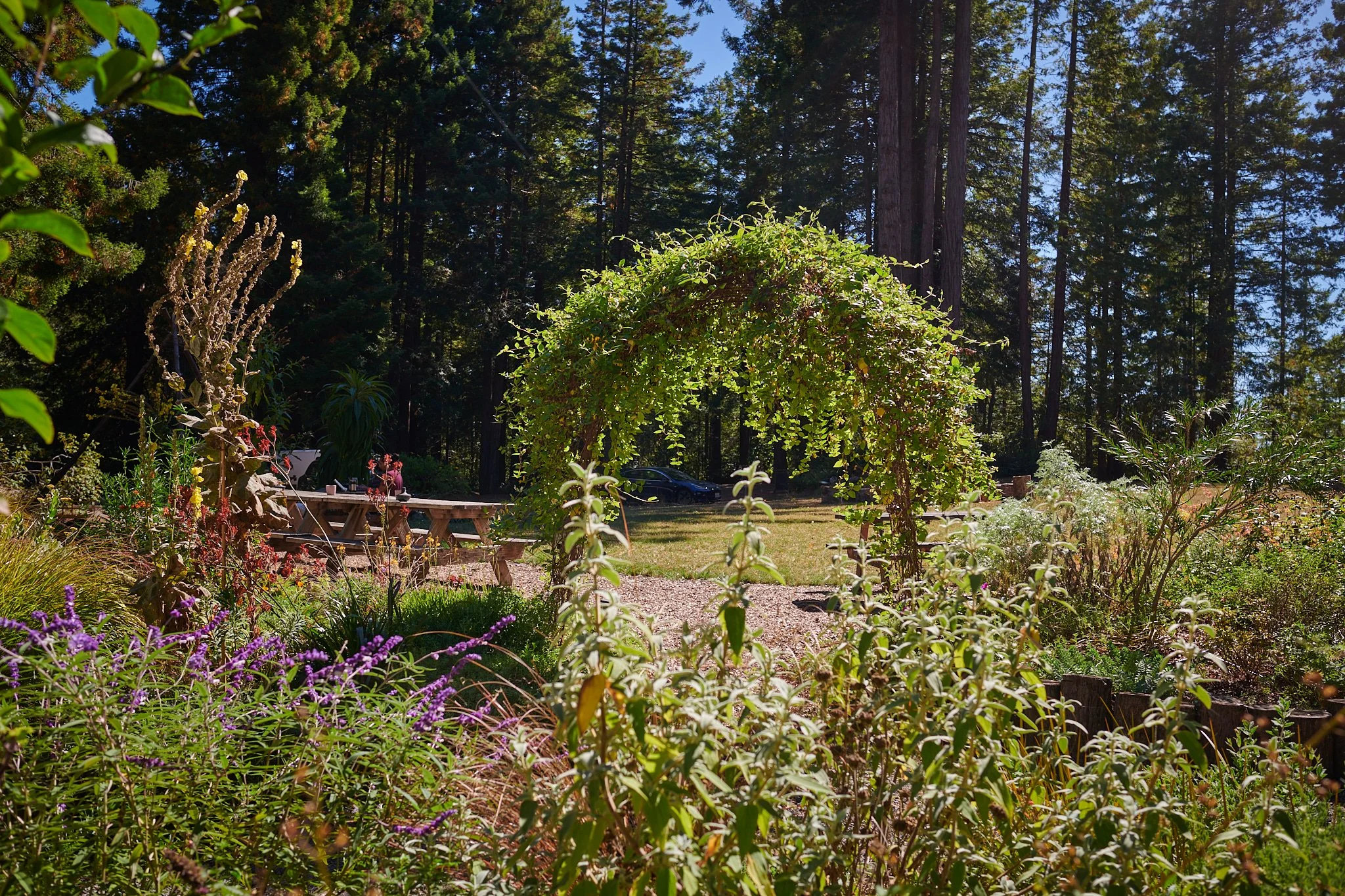 gallery - Gardens 5.jpg