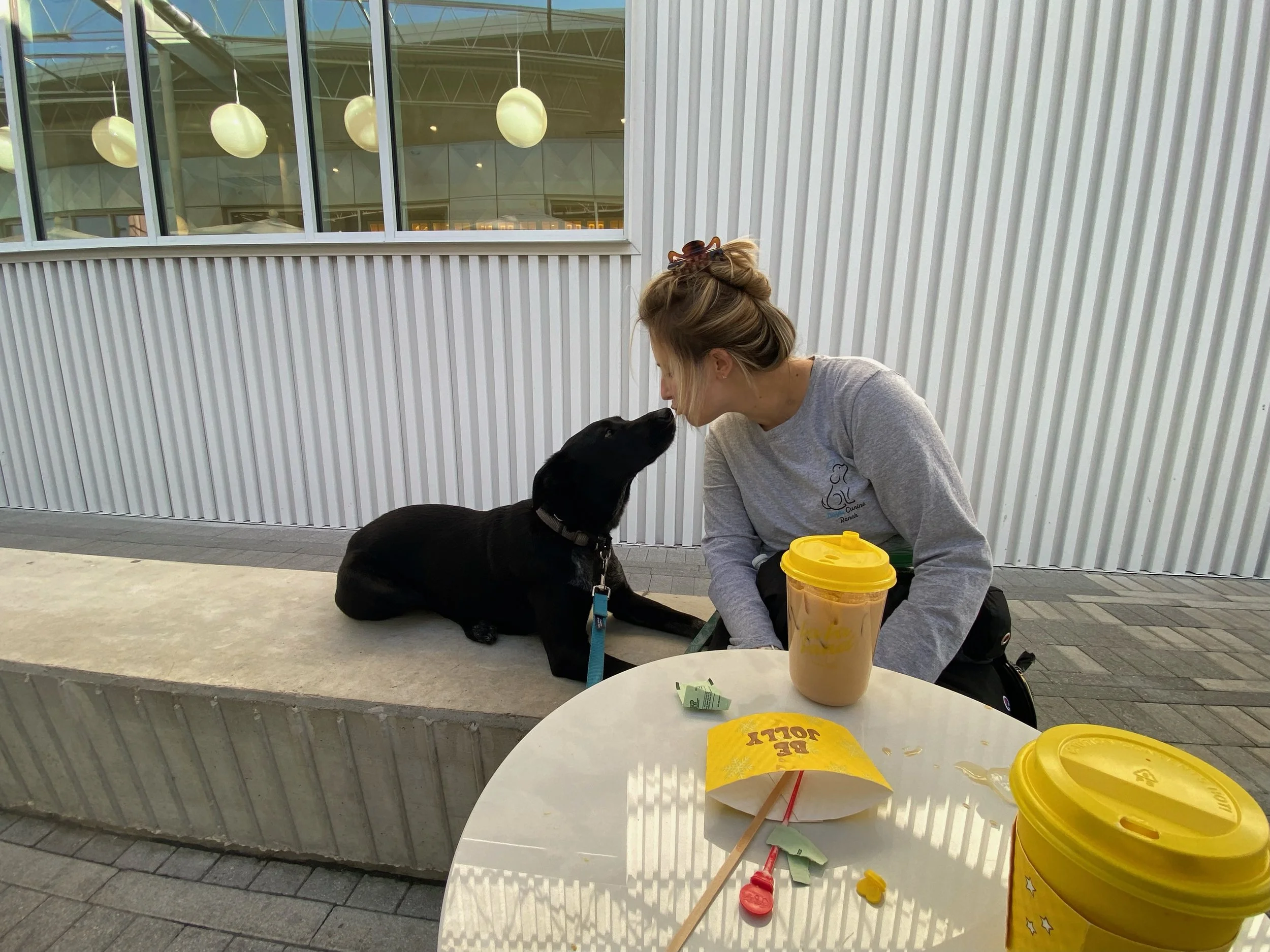 A woman and a black dog sharing a moment of affection outdoors, with a white corrugated metal building and large glass windows in the background.