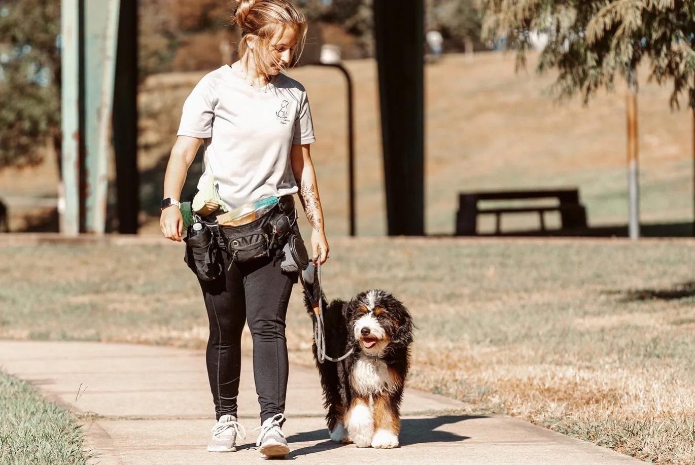A woman walking her dog on a sidewalk in a park during autumn.