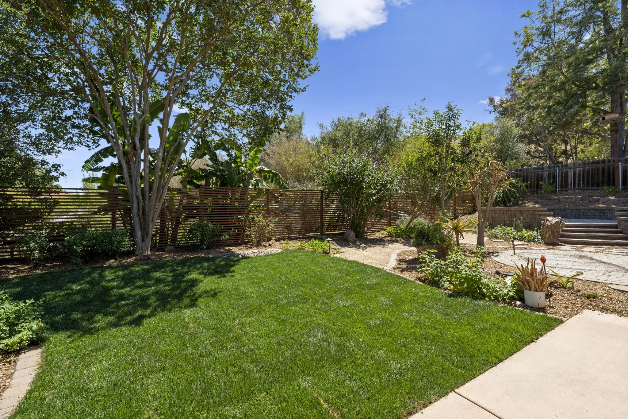 27-web-or-mls-DSC02725.JPG