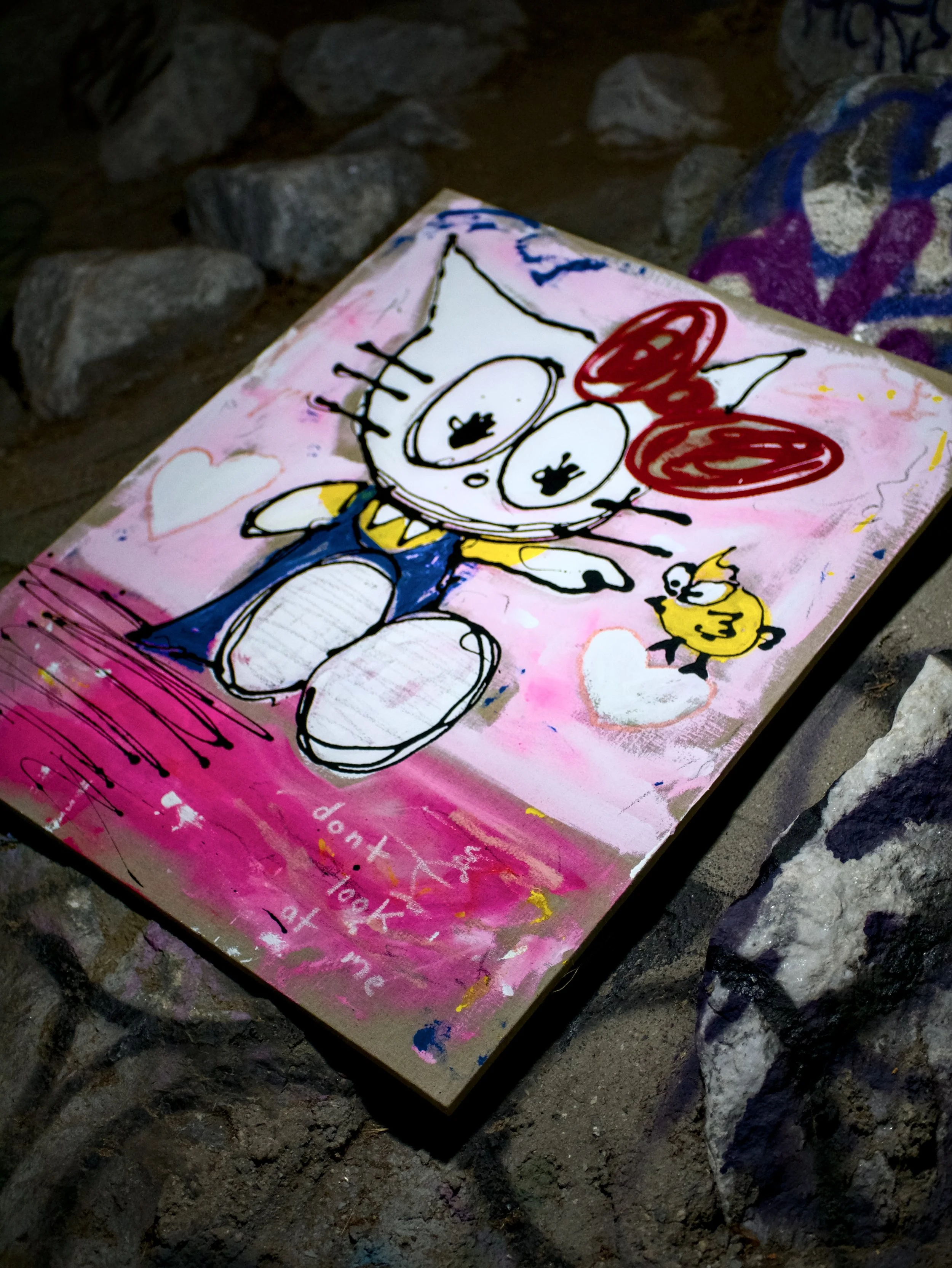 kitty_odk_1.jpg