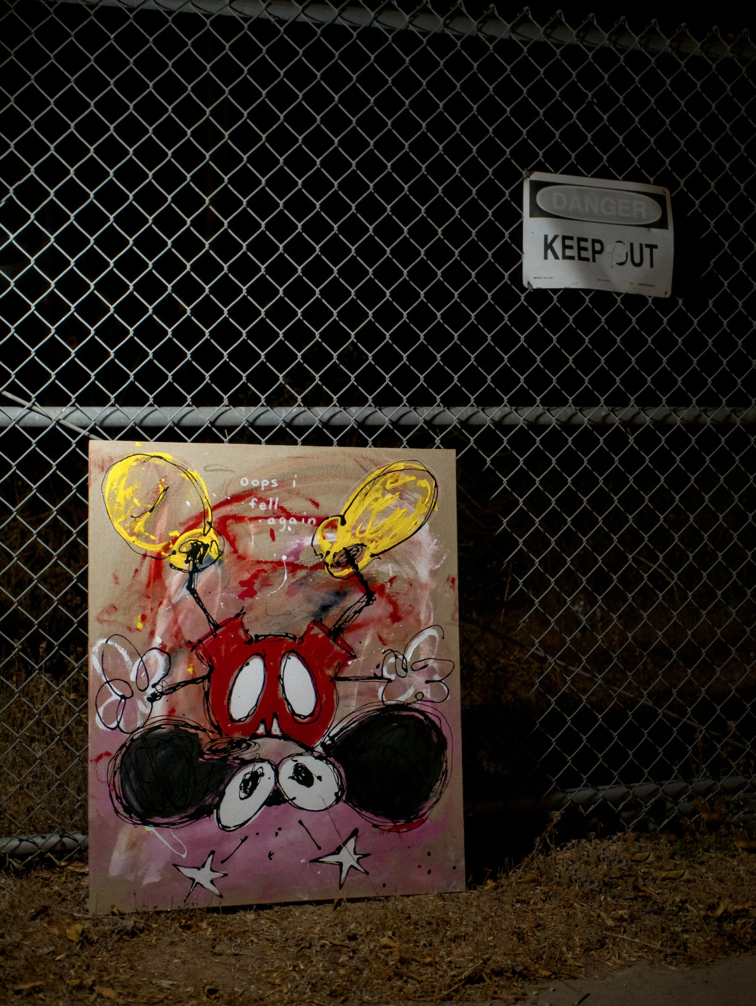 mickey_odk_1.jpg
